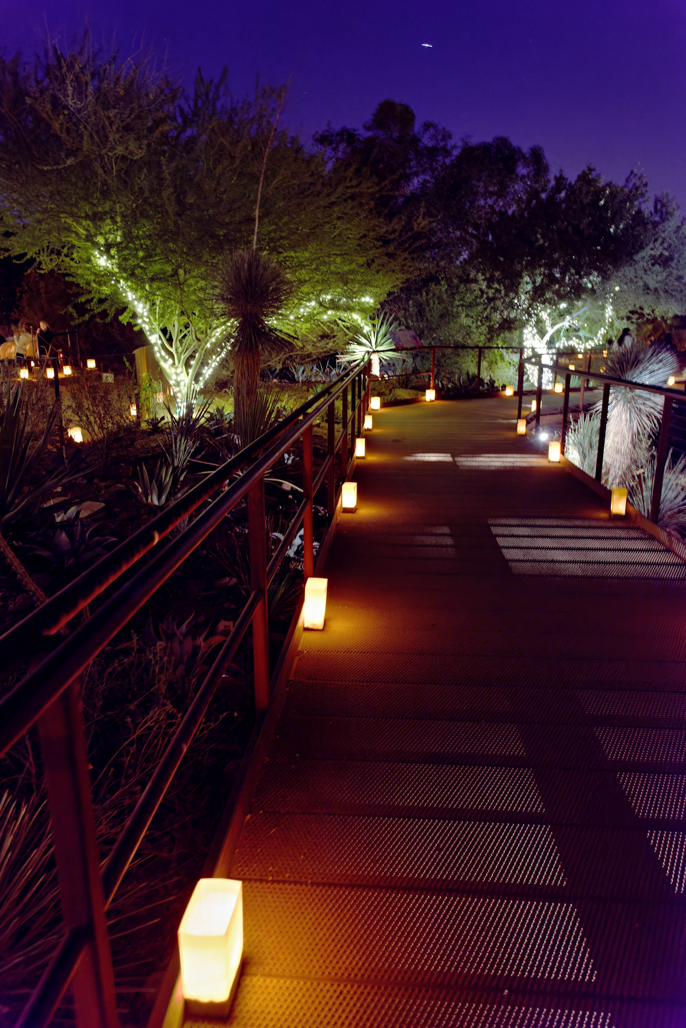 AZ_20121209_0279_PS.dng