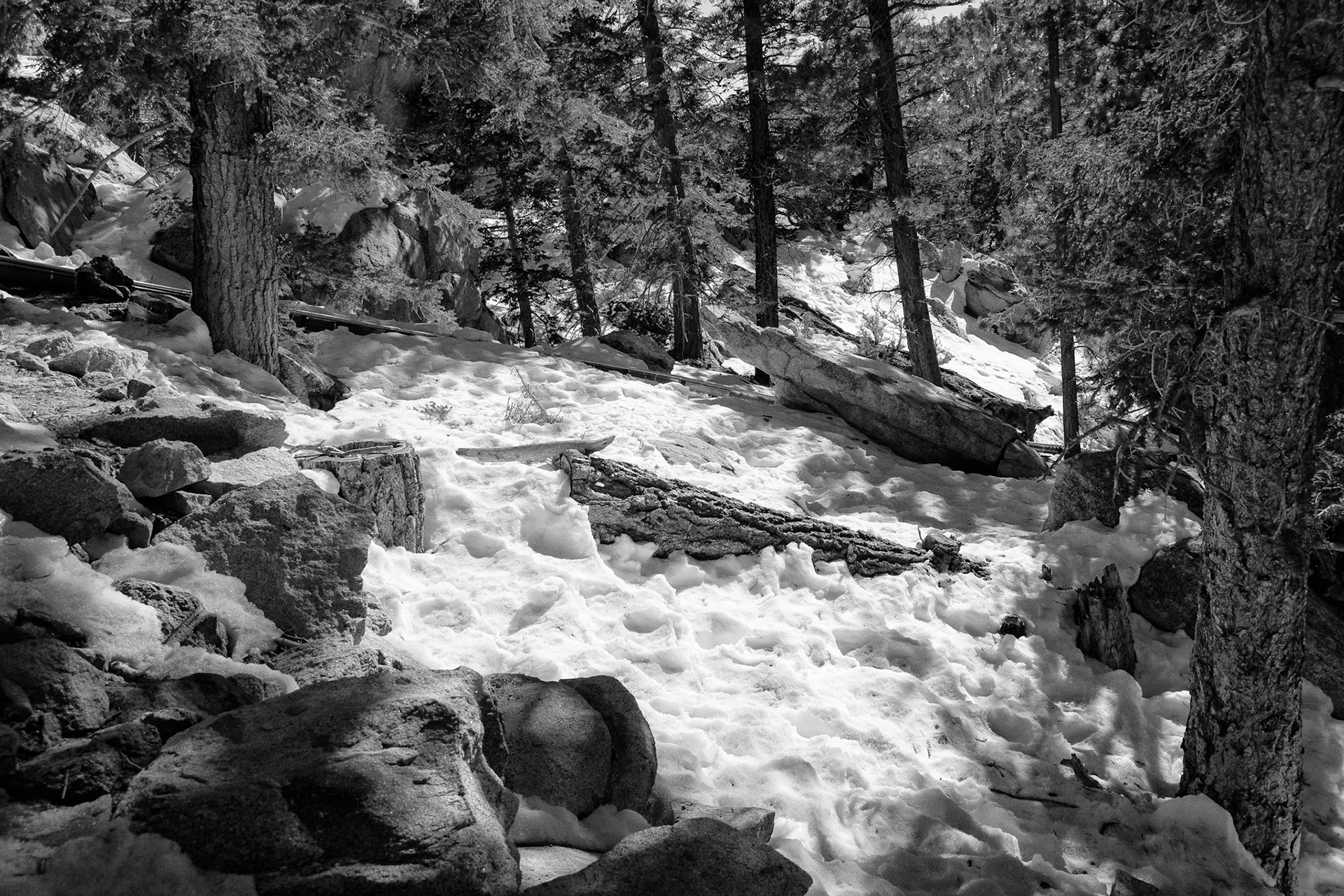 Black &amp; White 00092