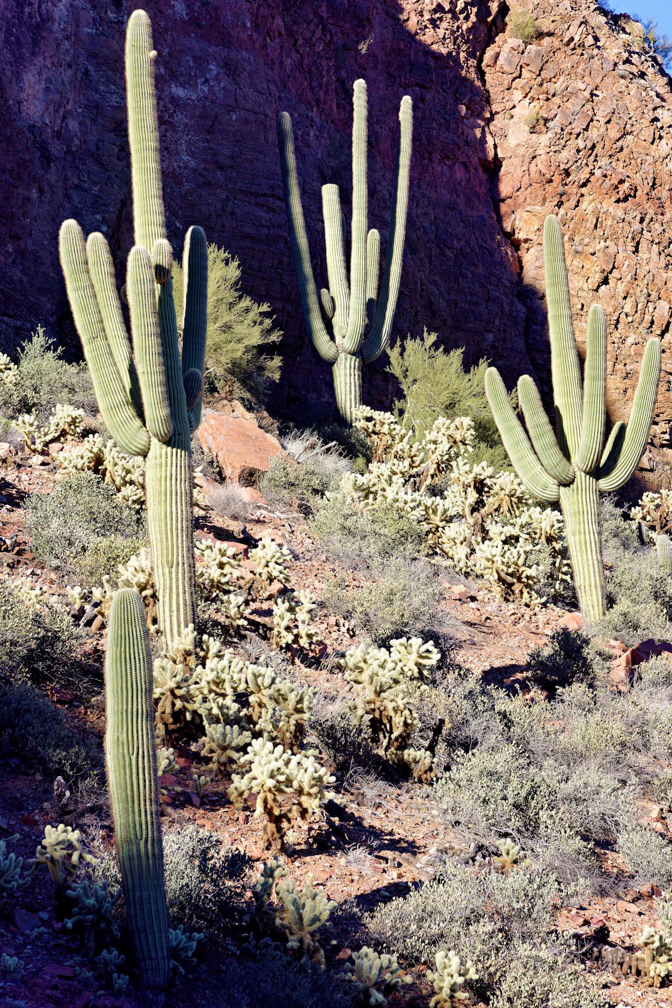 AZ_20121210_0434_PS