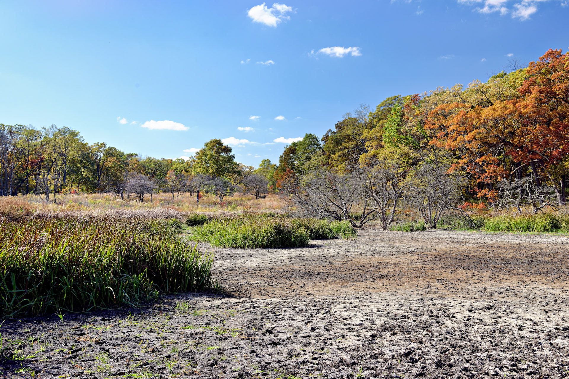 IL_Morton Arboretum_20121012_0585_PS