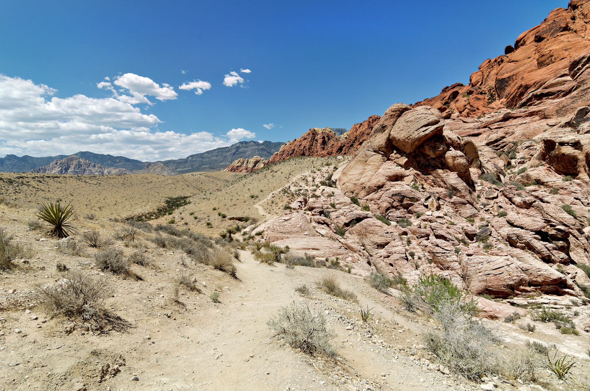 NV_20070531_0119_PS