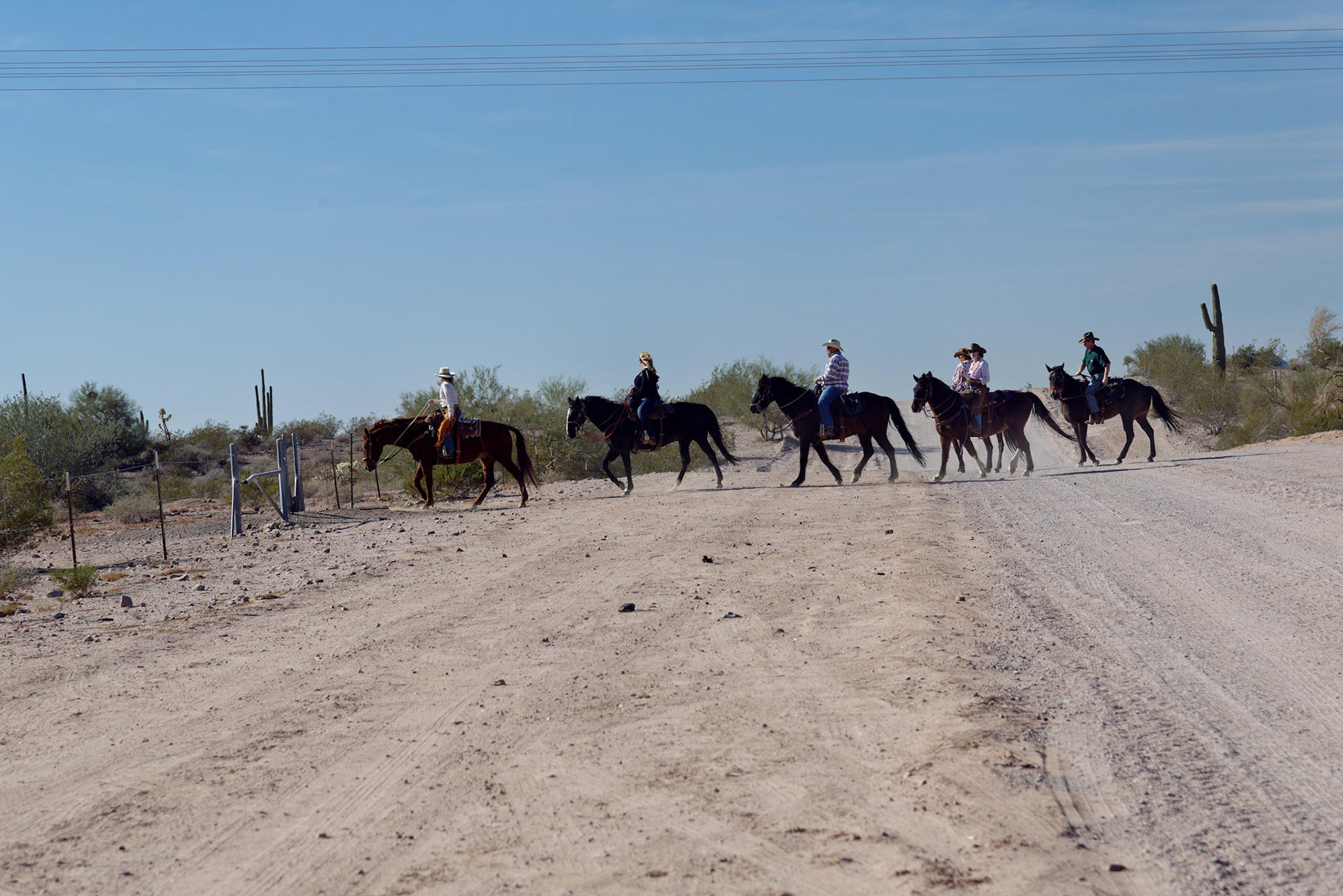 AZ_20121209_0307_PS.dng