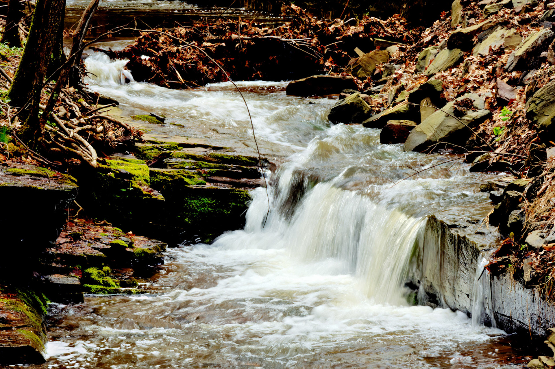 CT_20060423_0187_PS.dng