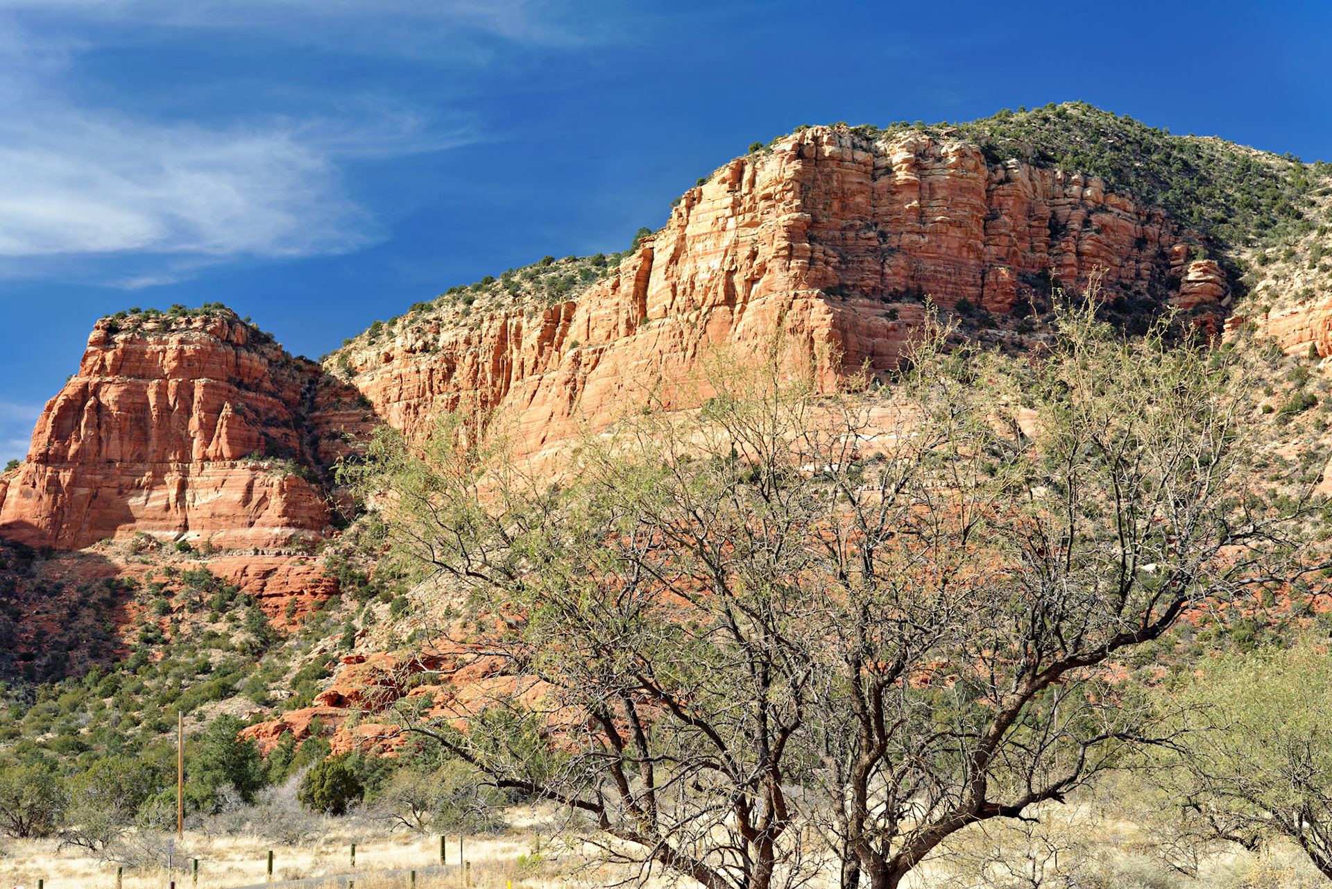 AZ_20121211_0591_PS