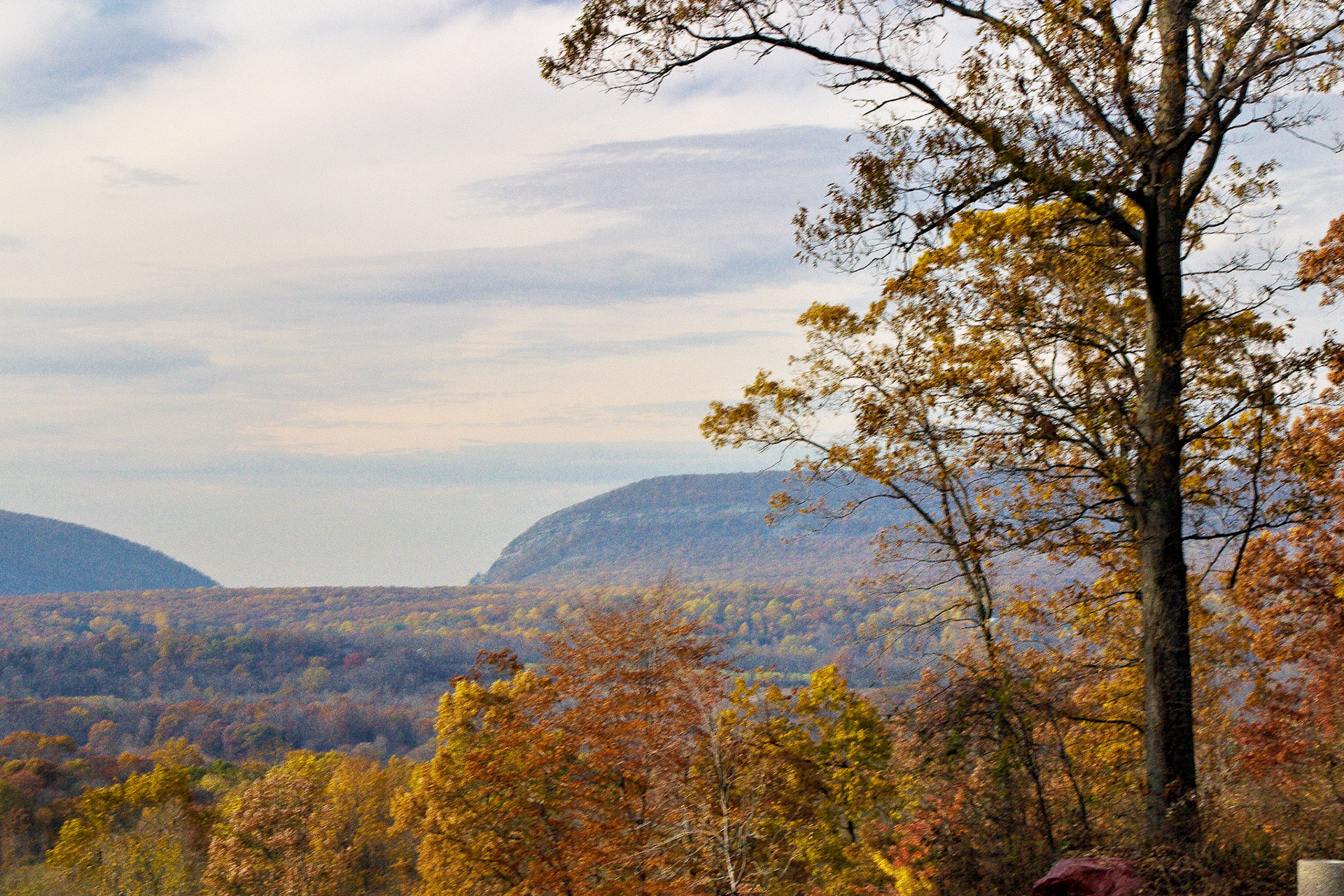 Fall