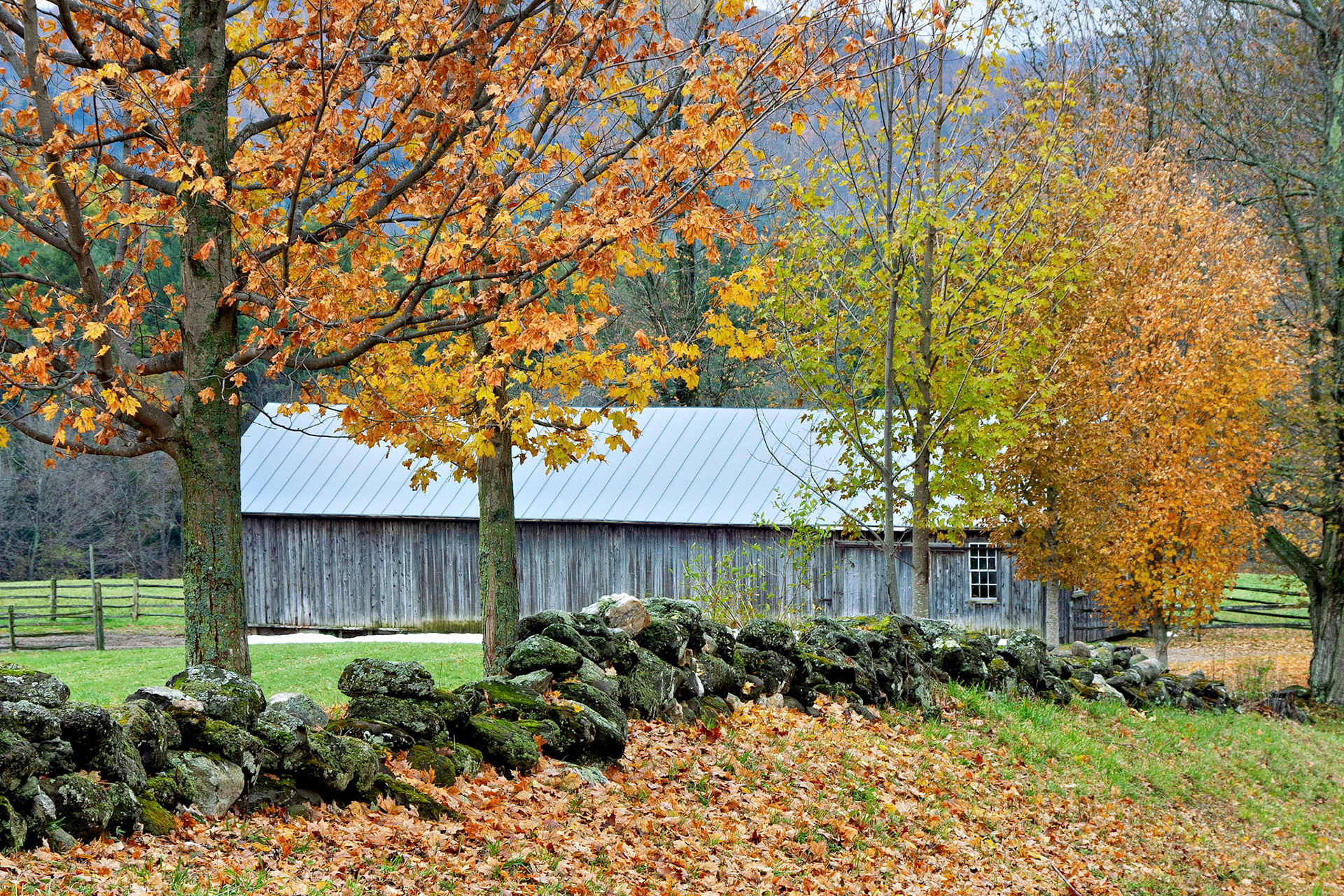 VT_20021028_0027_PS