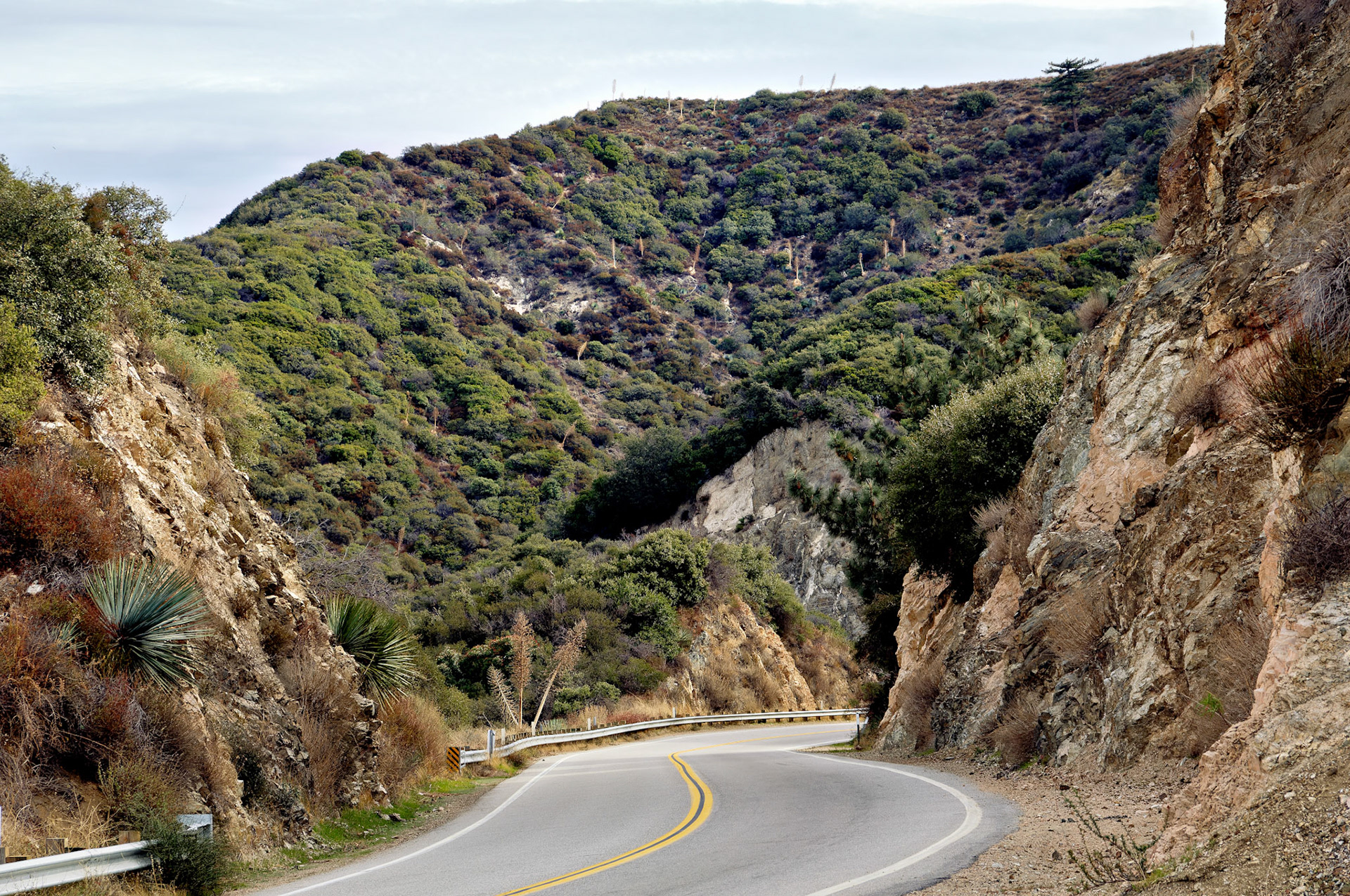 CA_LA_20051220_0254_PS