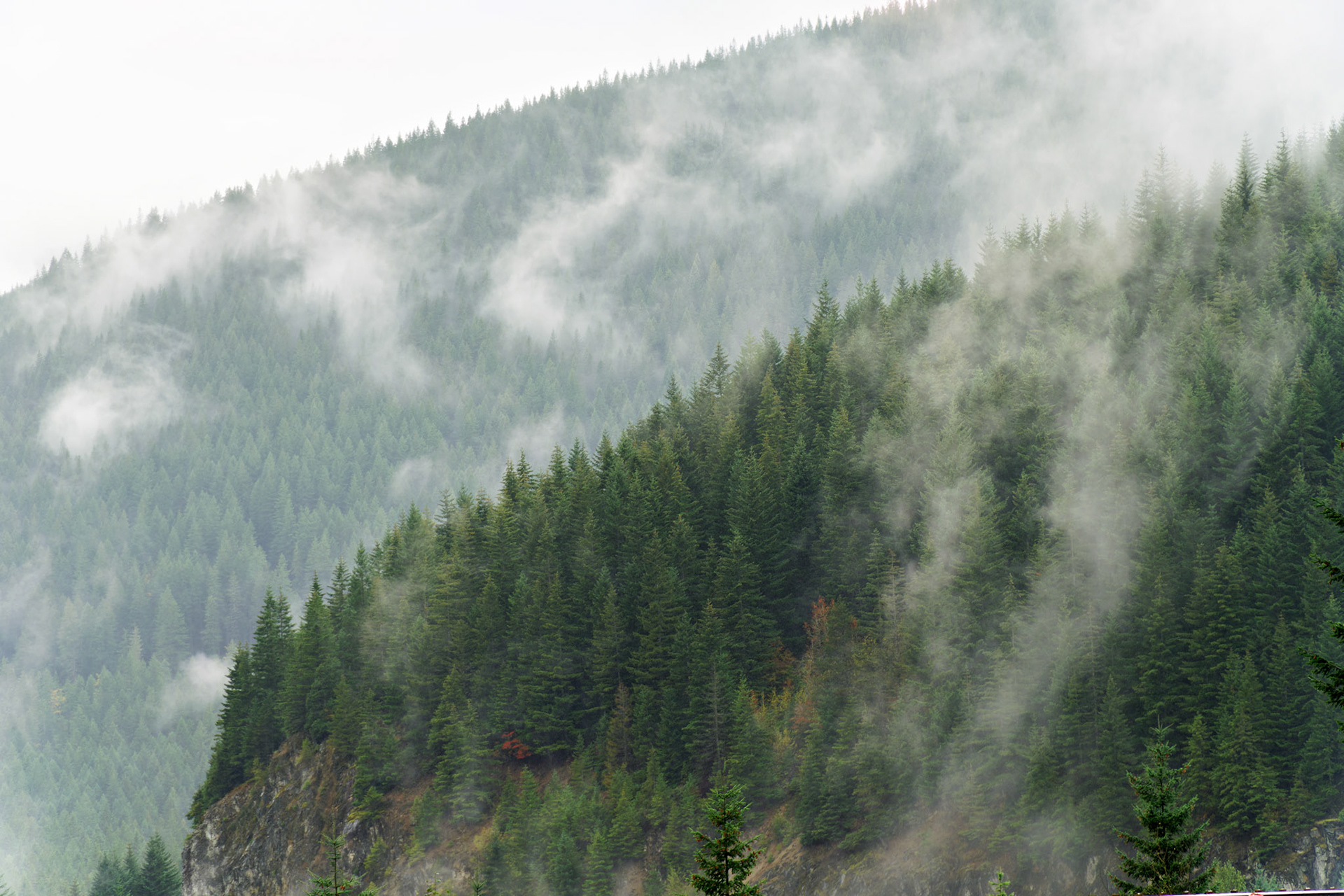 OR_MtHood_20160918_0007_PS