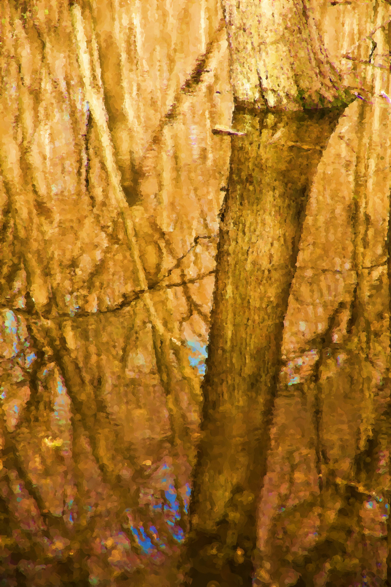 Painting__DSC2088-17_PaintingDWCIntense