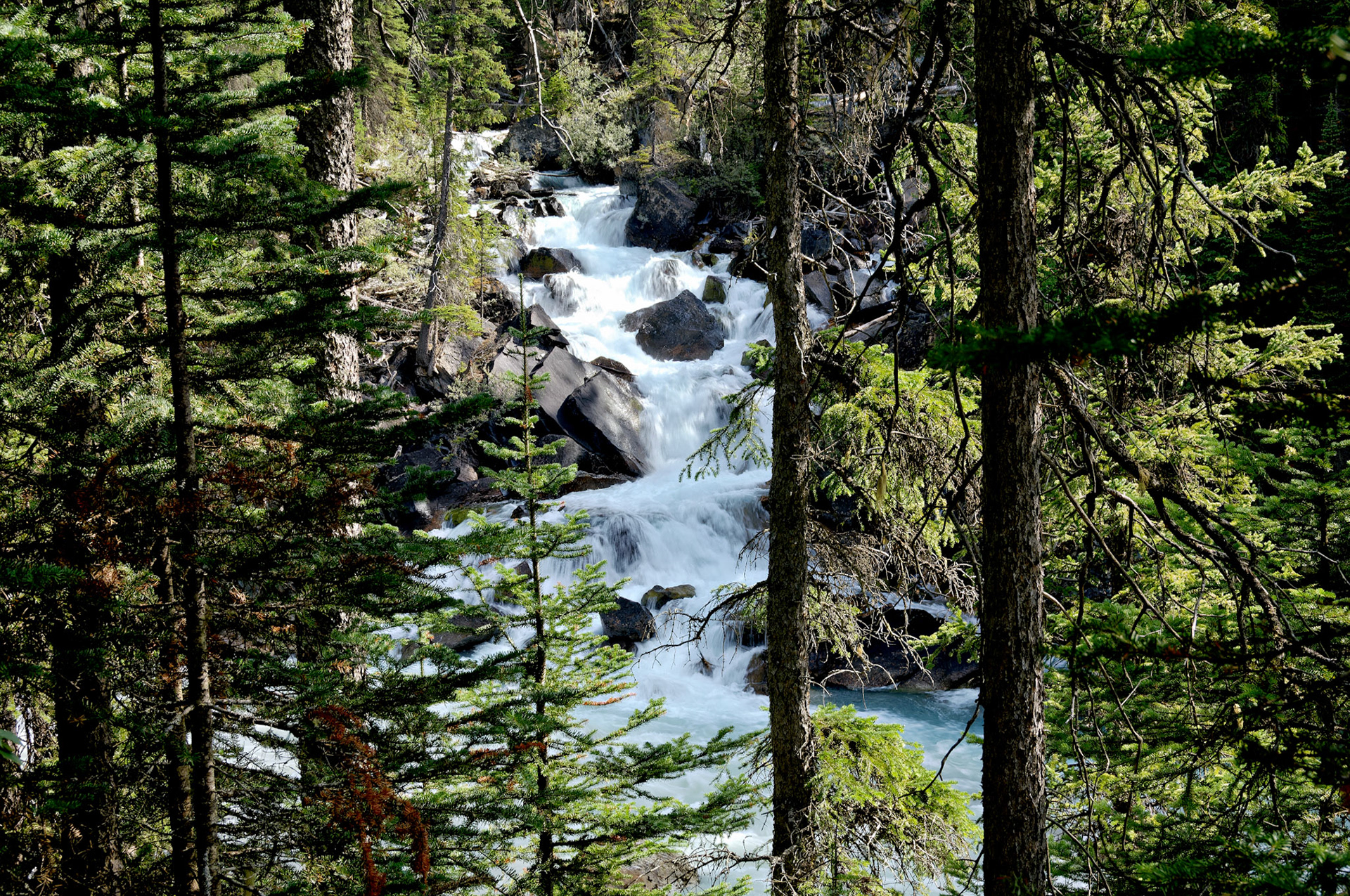 CN_20060803_0578_PS