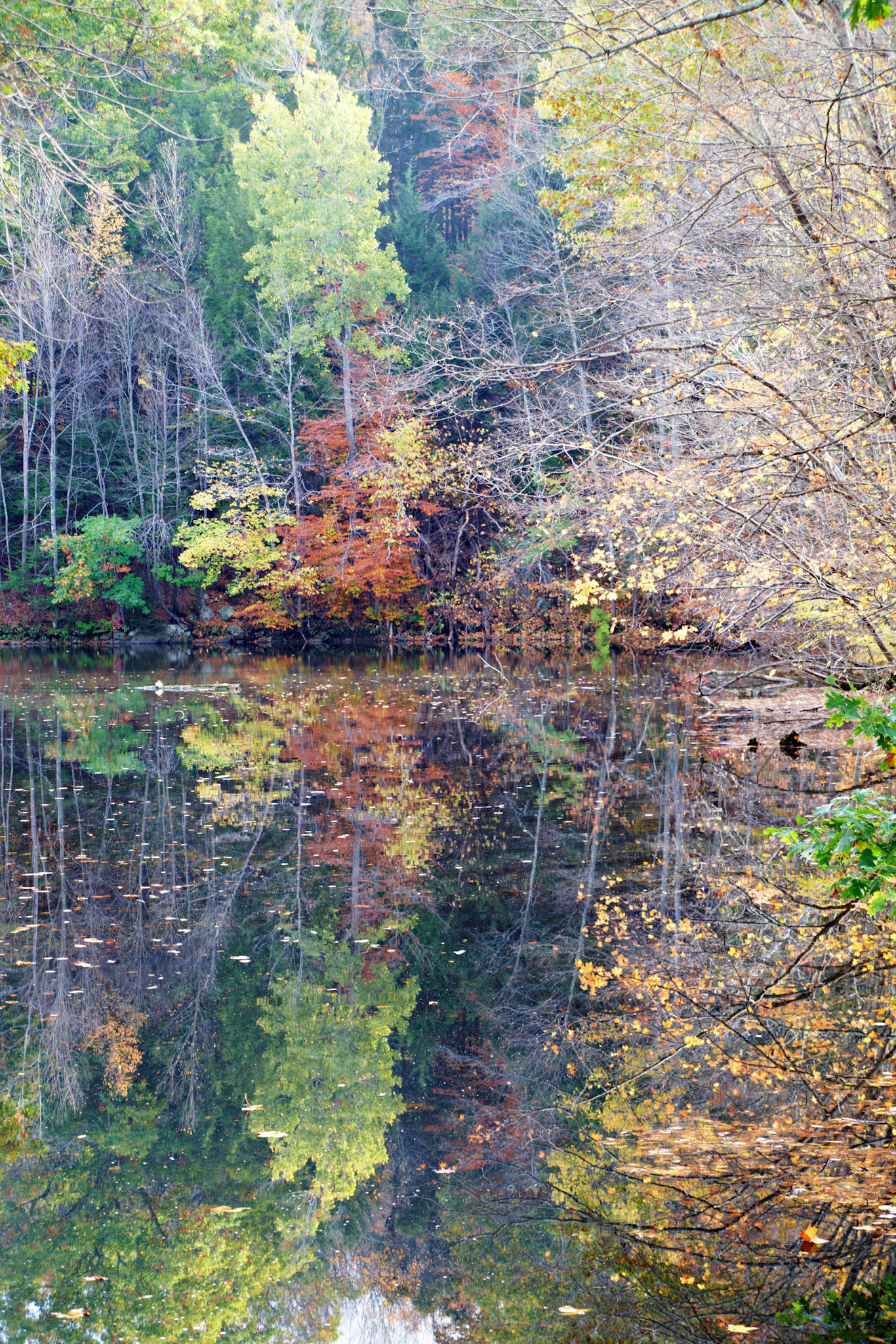 CT_20141019_0478_PS