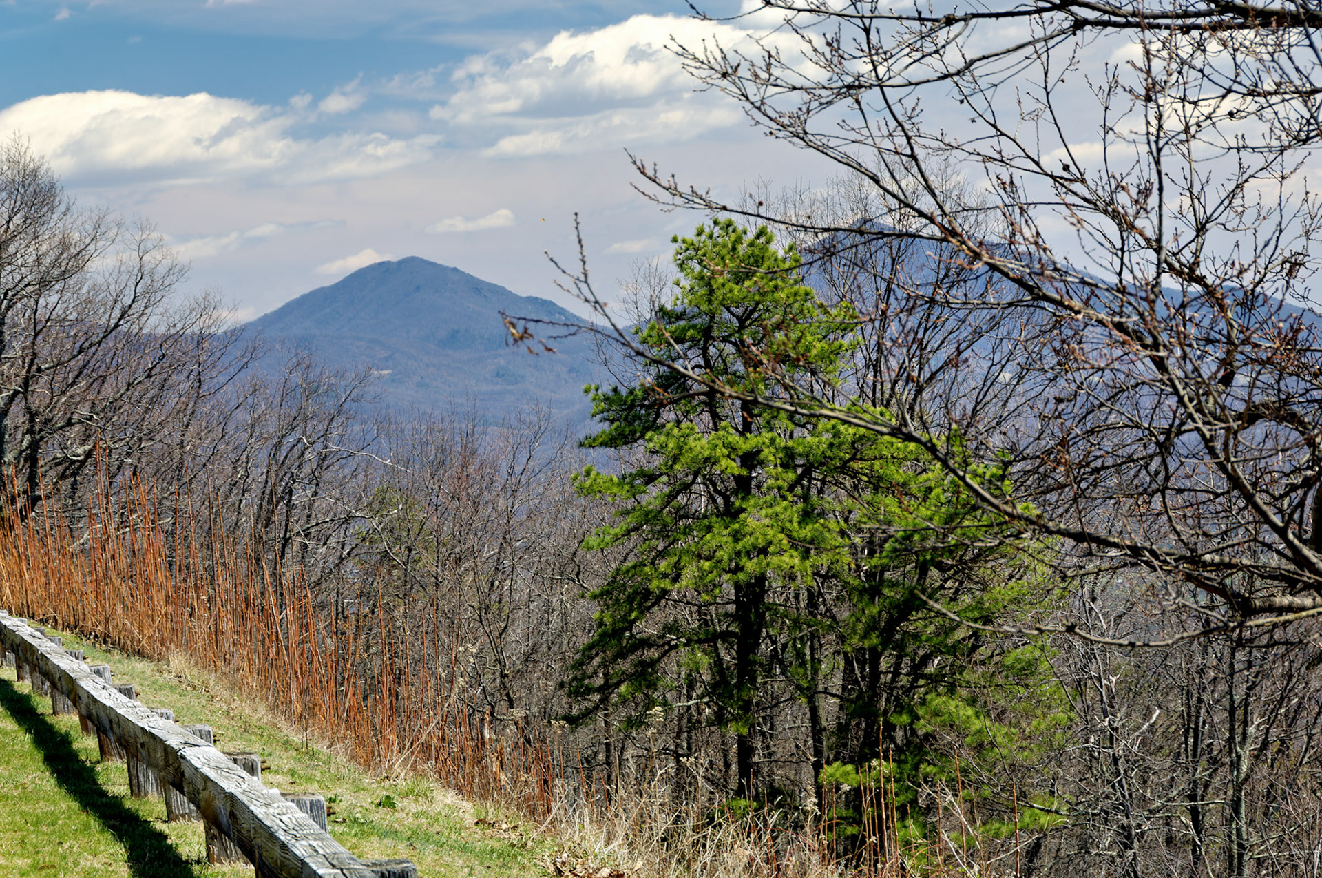 VA_BlueRidge_20060405_0070_PS