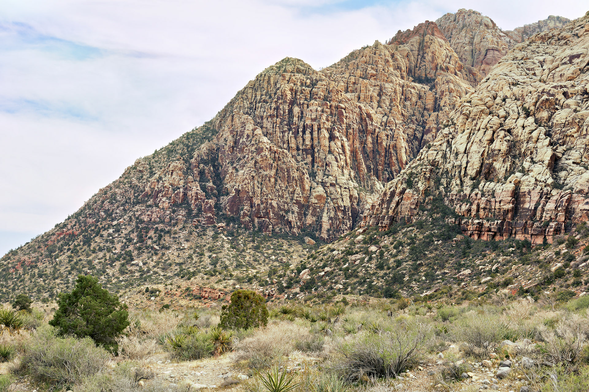 NV_Deserts_20120312_0088_PS.tif