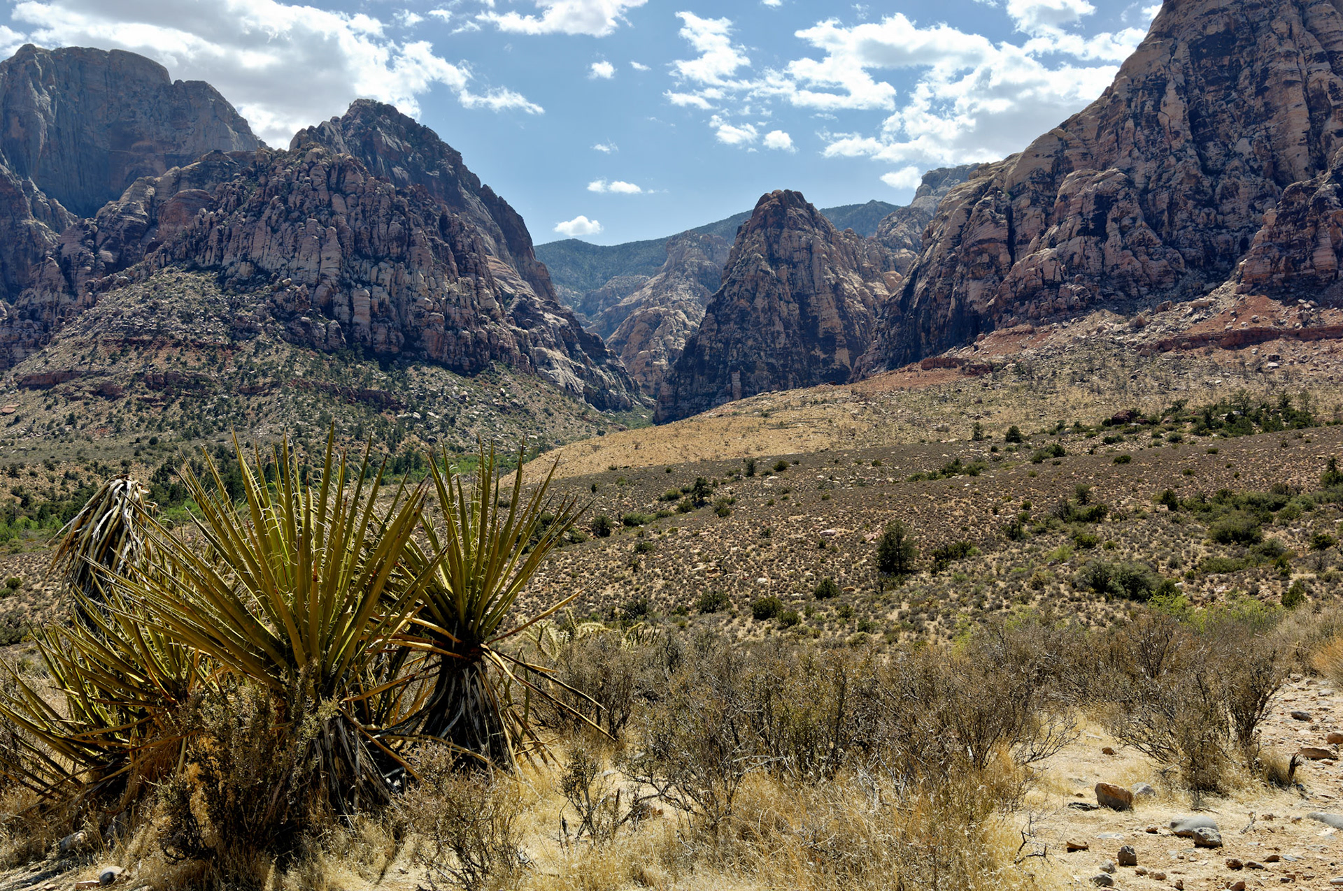 NV_20070531_0158_PS