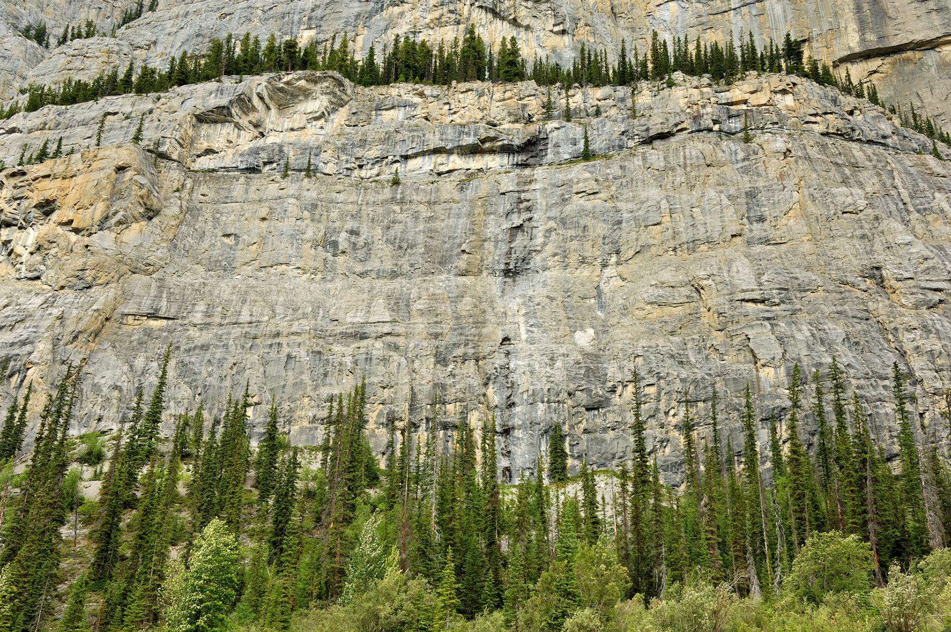 CN_20060802_0199_PS