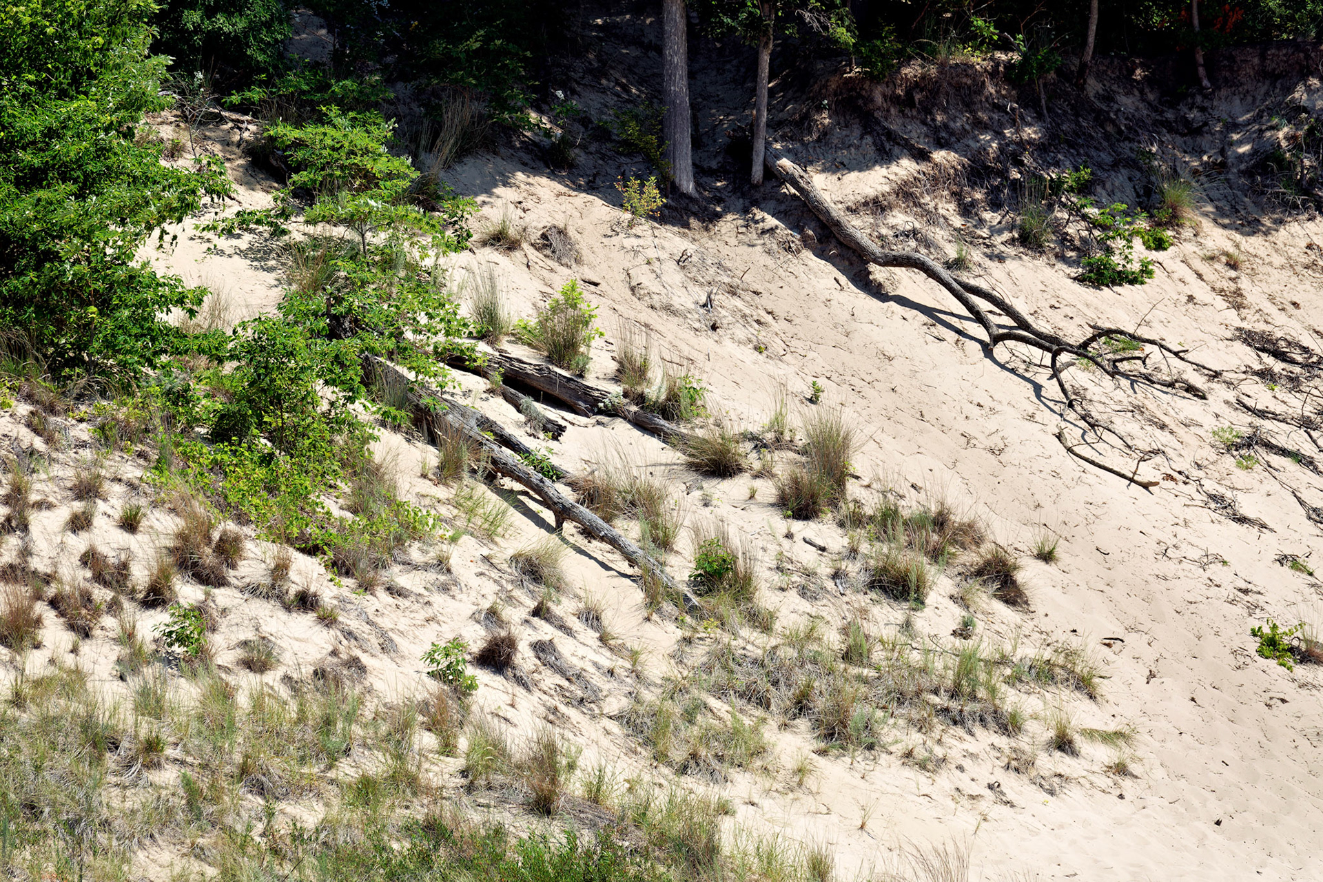 MI_New BuffaloArea_20160808_0129_PS