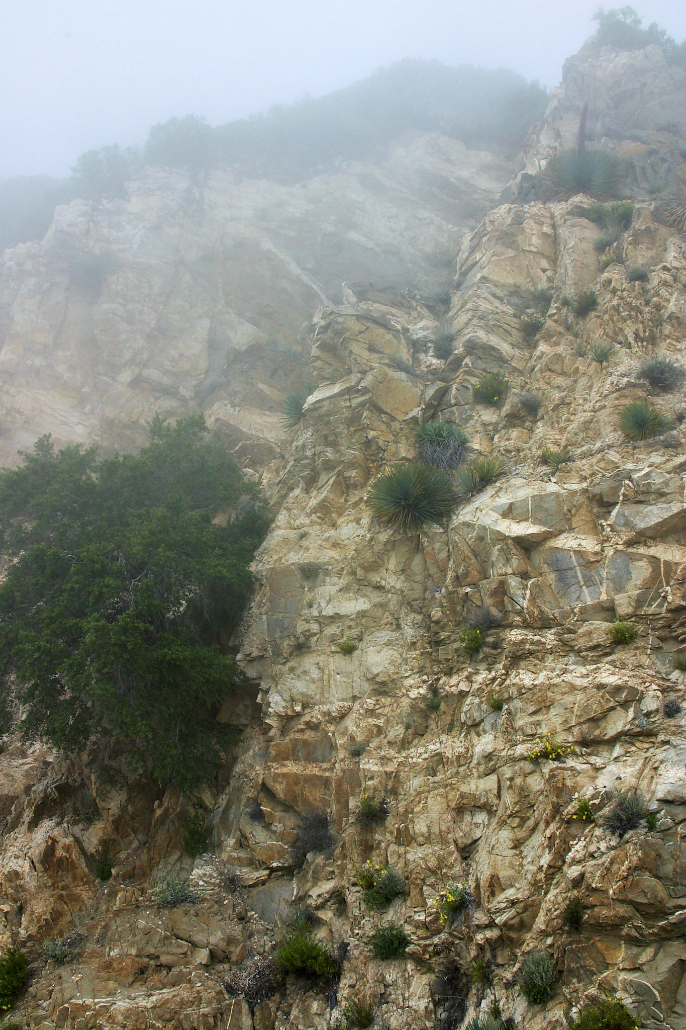 CA_LA_20030514_0030_PS
