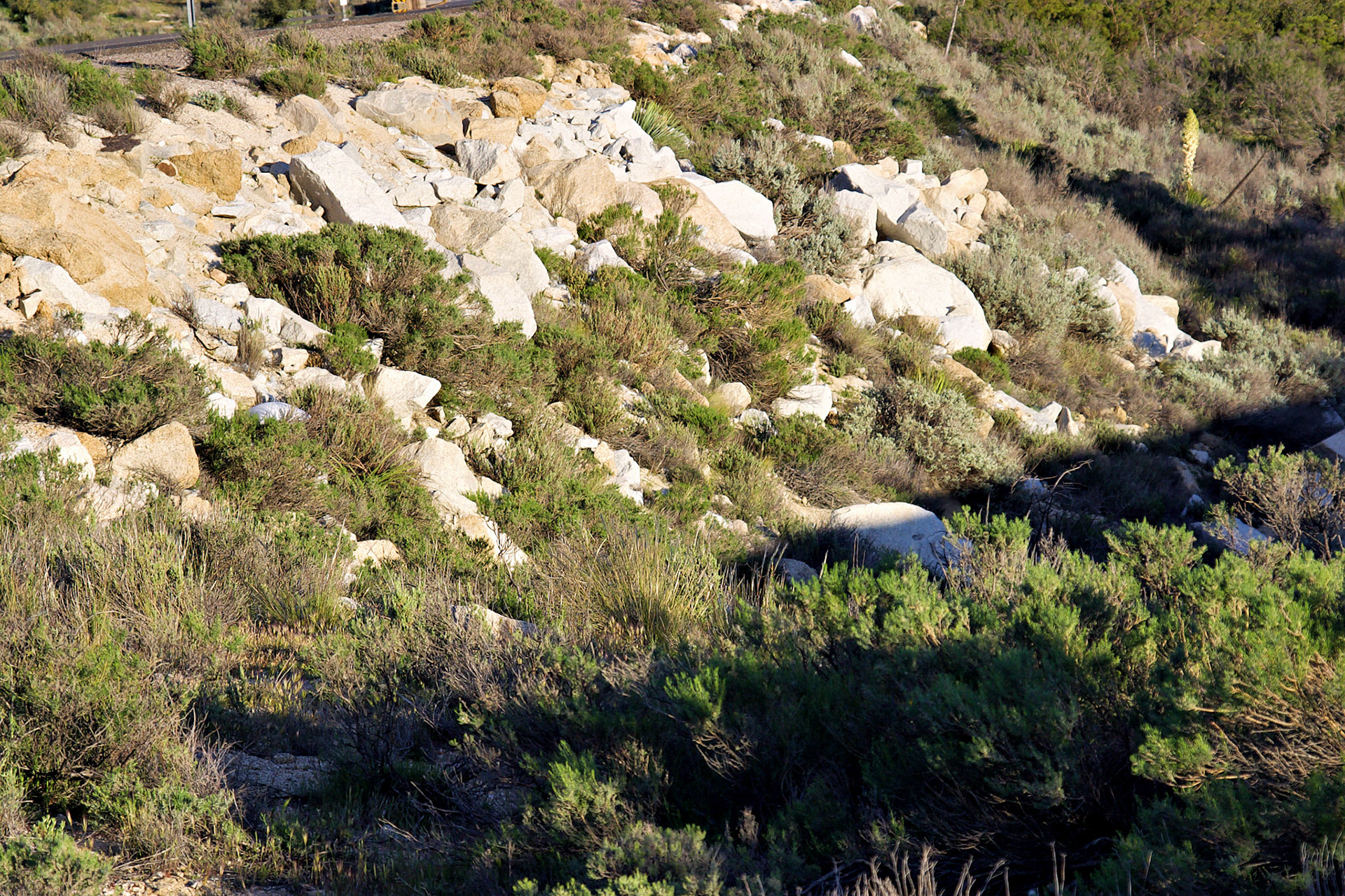 CA_LA_20030326_0011_PS
