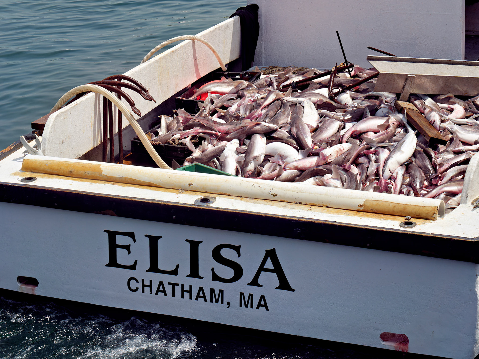 MA_CapeCodChattham_20180725_0074_PS
