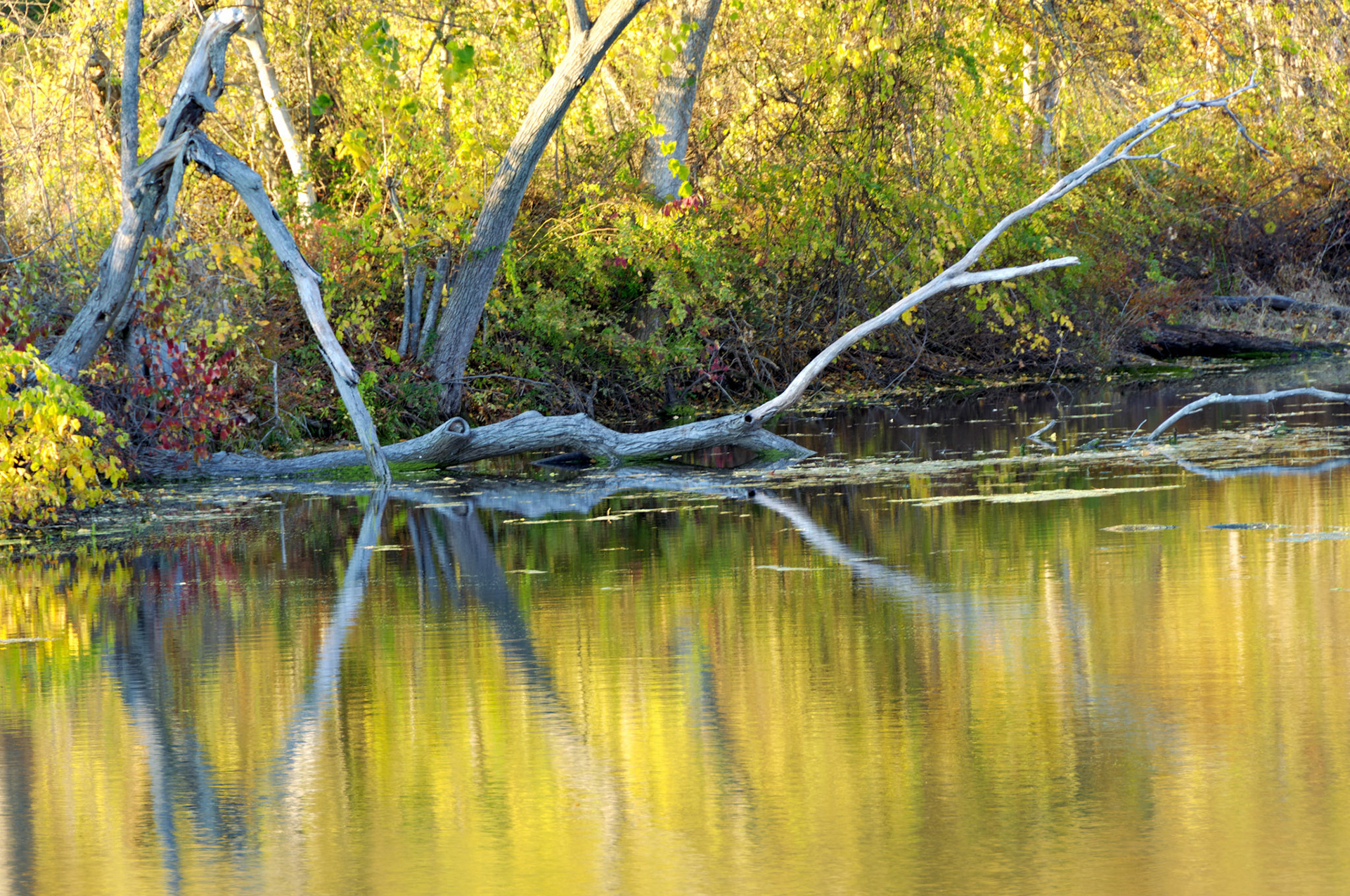 CT_20061021_0254_PS