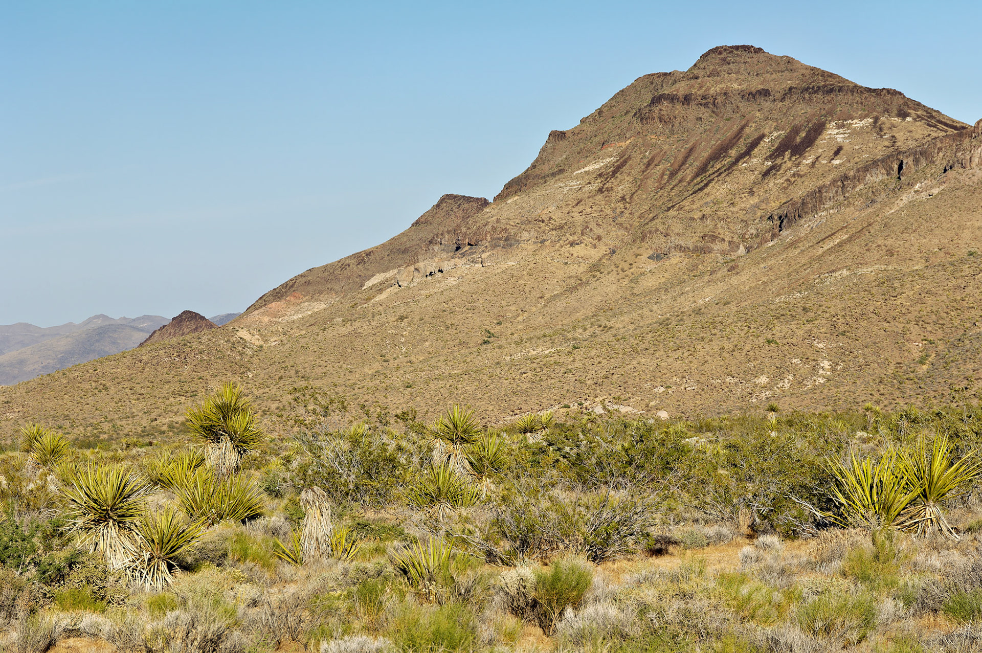 AZ_20050614_0744_PS.dng
