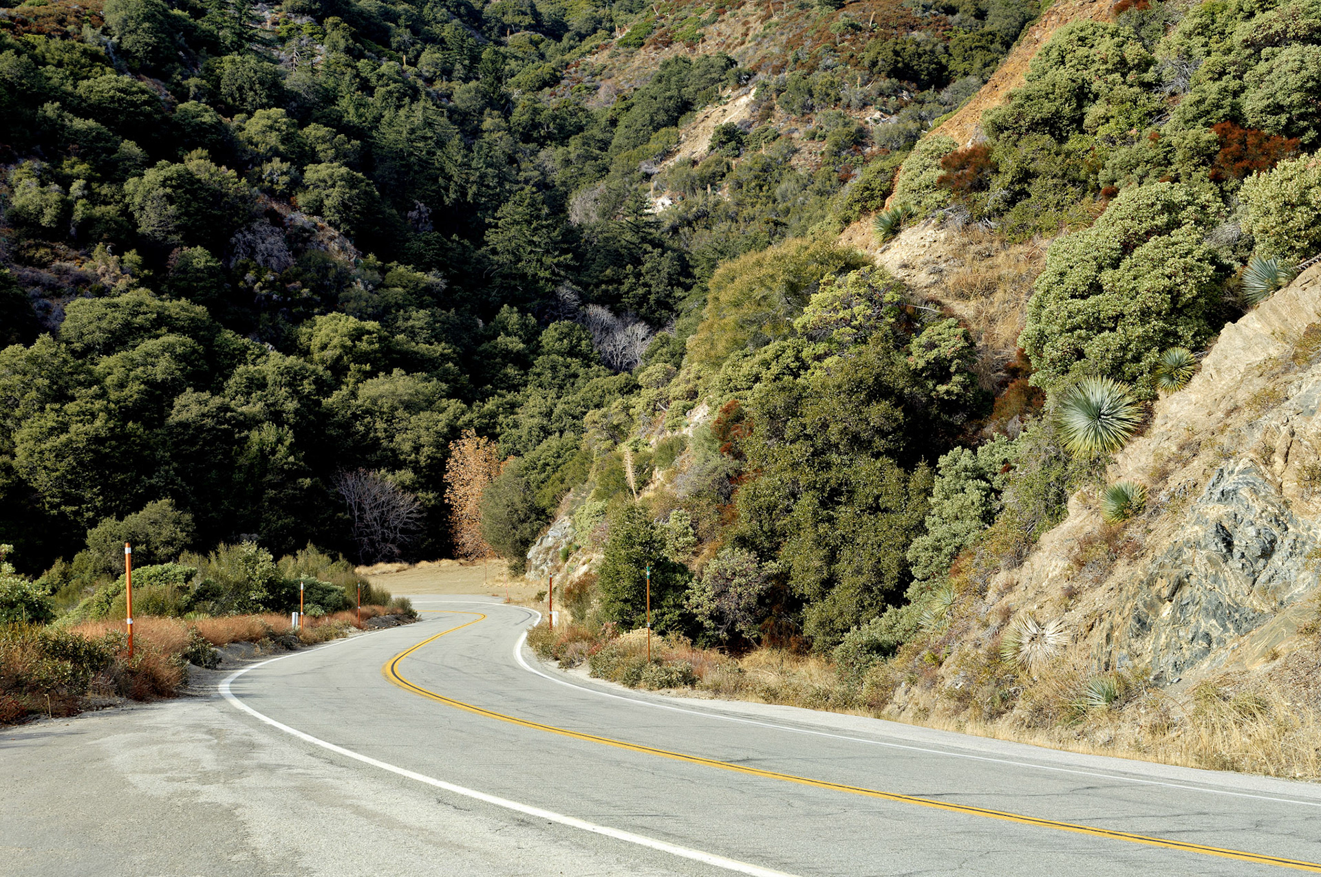 CA_LA_20051220_0288_PS