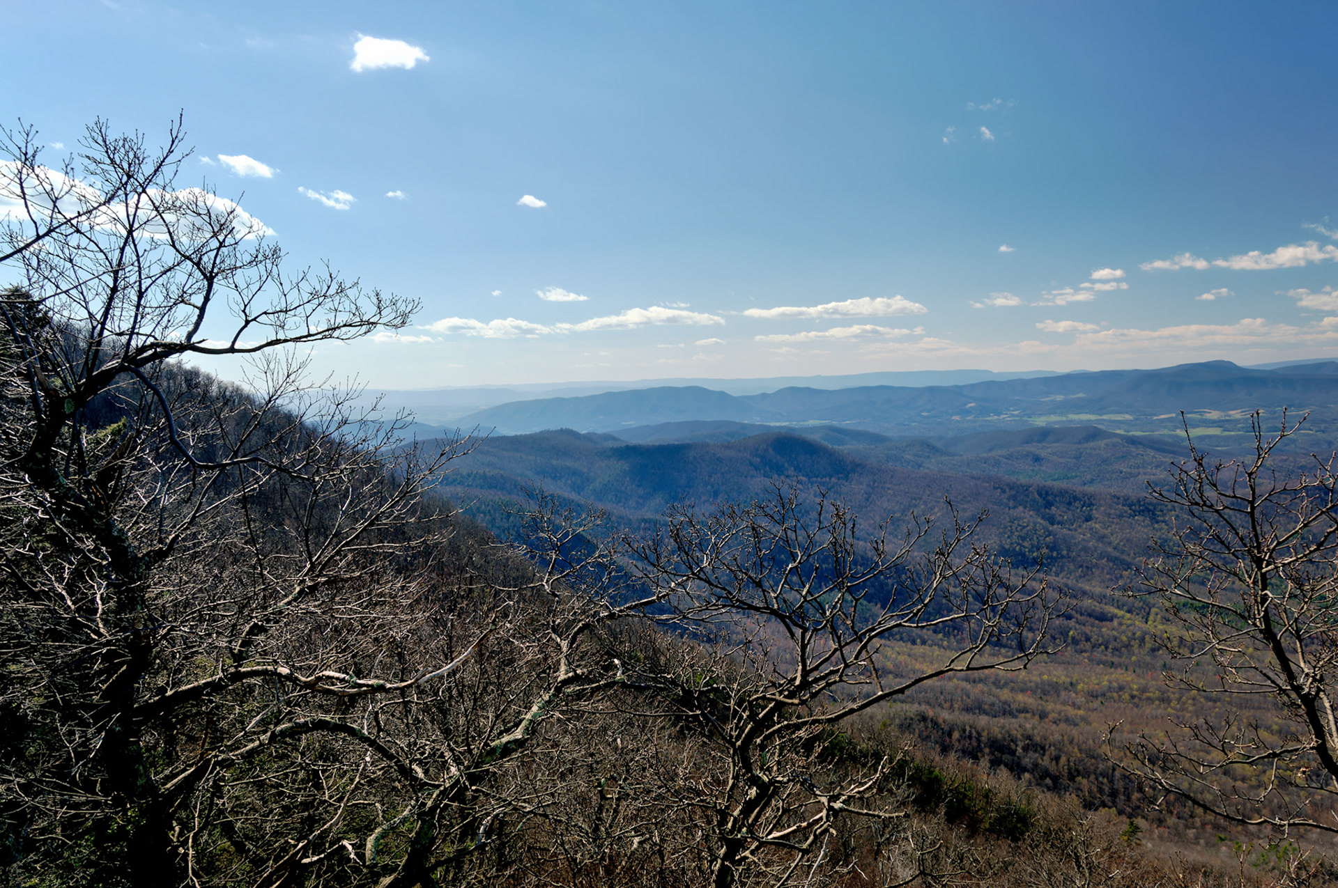 VA_BlueRidge_20060405_0112_PS.tif