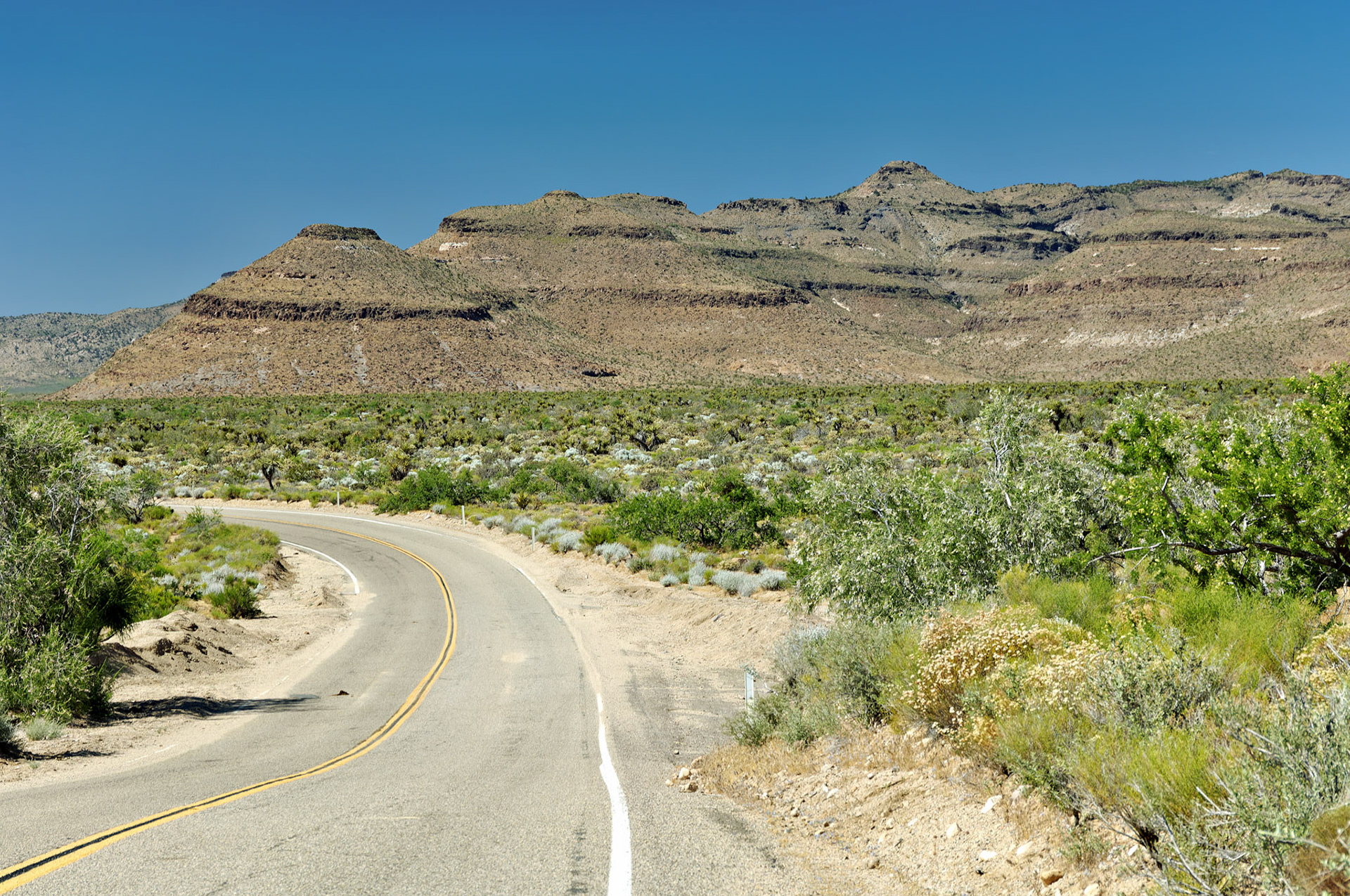 CA_20050614_0160_PS.dng