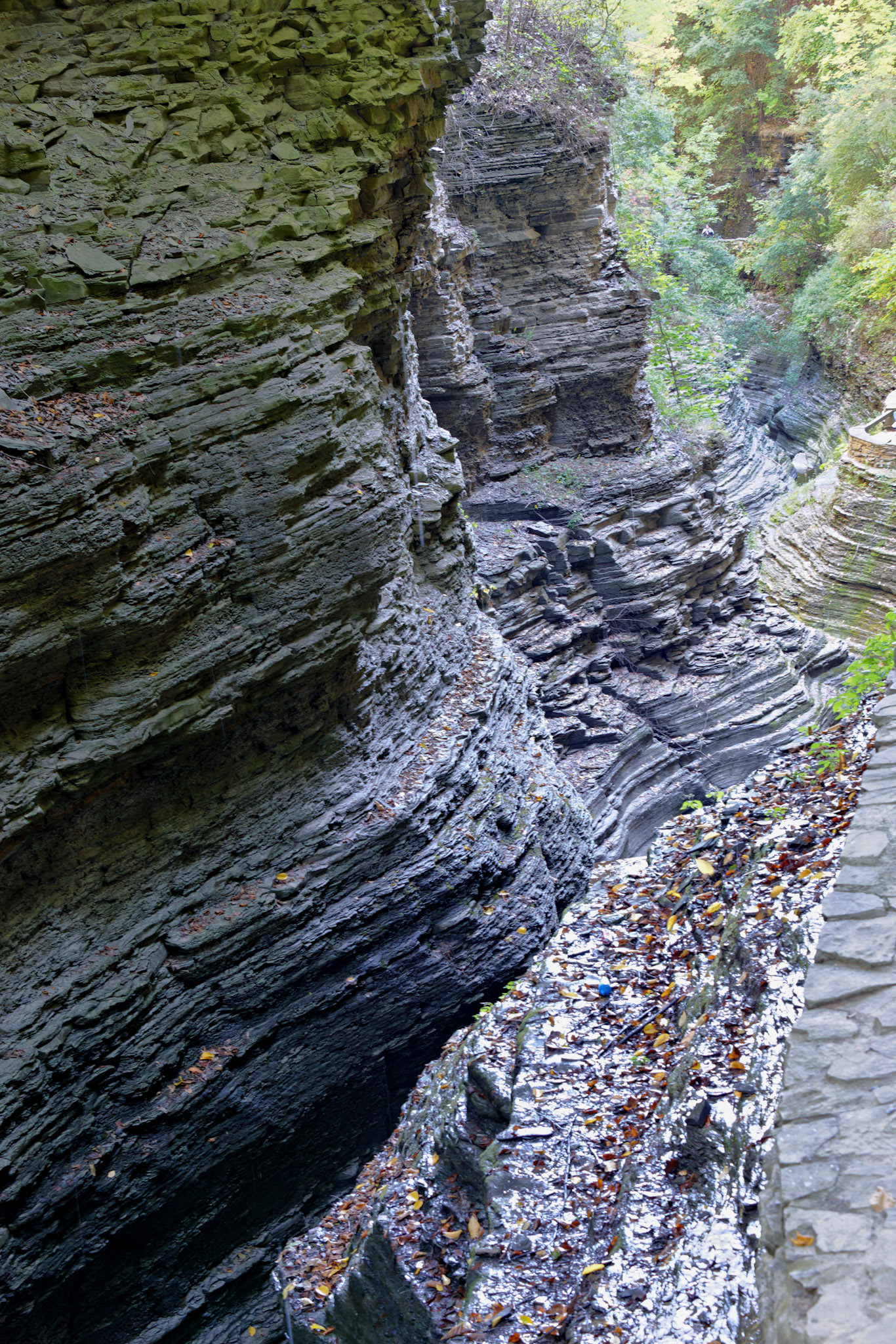 NY_FingerLakes_20120927_0105_PS