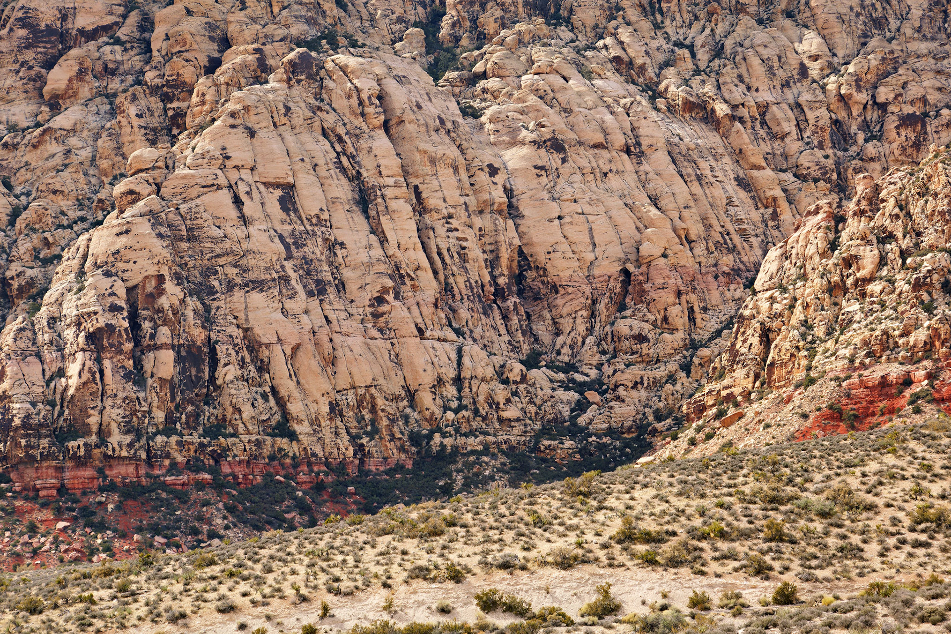 NV_Deserts_20120312_0075_PS.tif