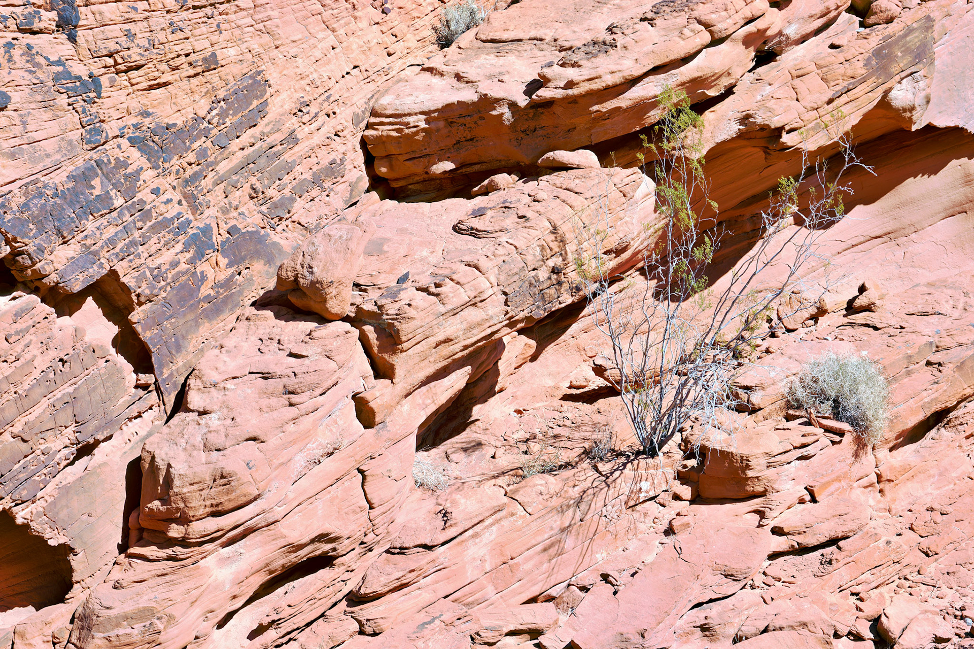 NV_Deserts_20120313_0128_PS.tif