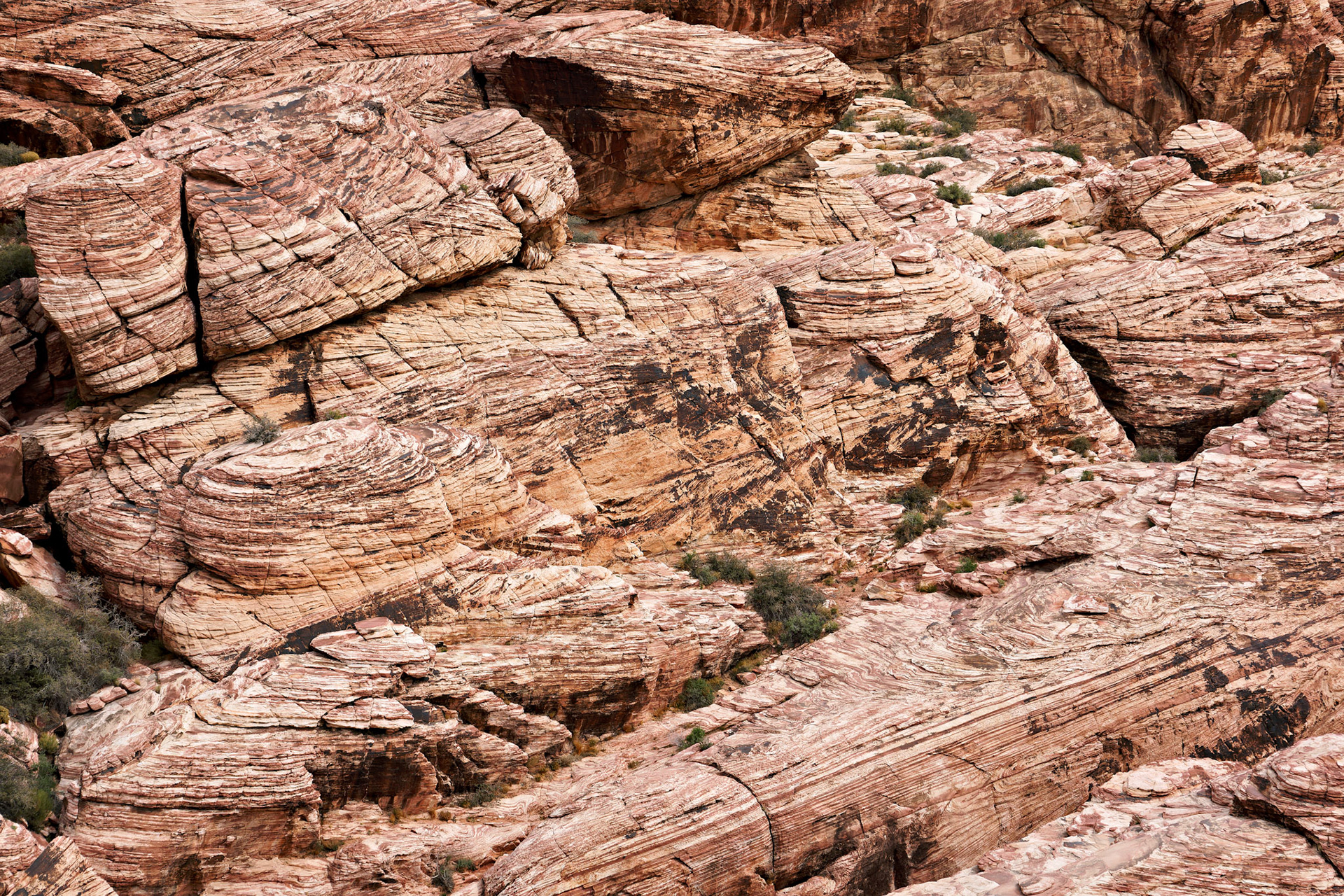 NV_Deserts_20120312_0046_PS.tif
