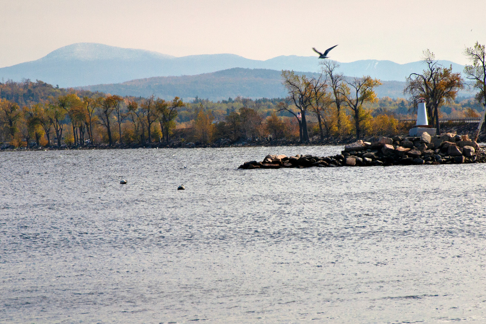 VT_20021030_0075_PS