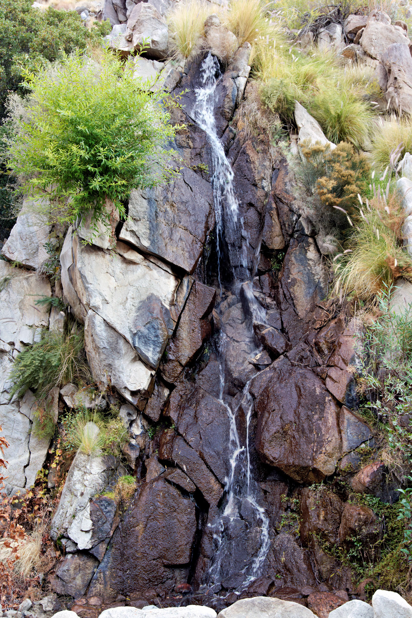 CA_PalmSprings_20111115_0401_PS