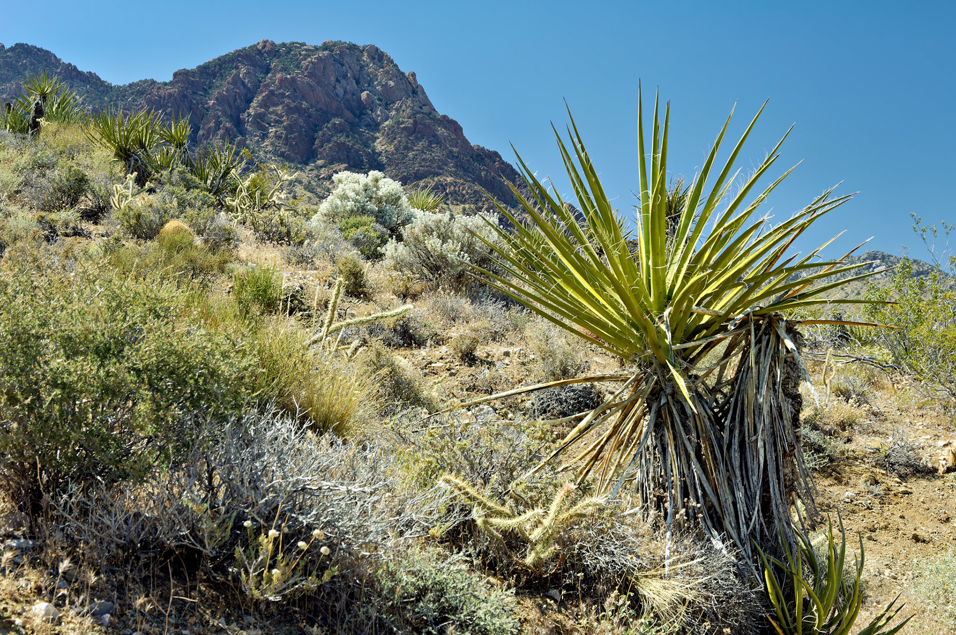 CA_20050614_0151_PS