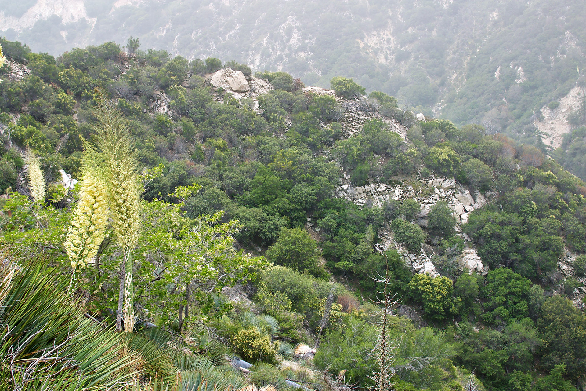 CA_LA_20030514_0033_PS