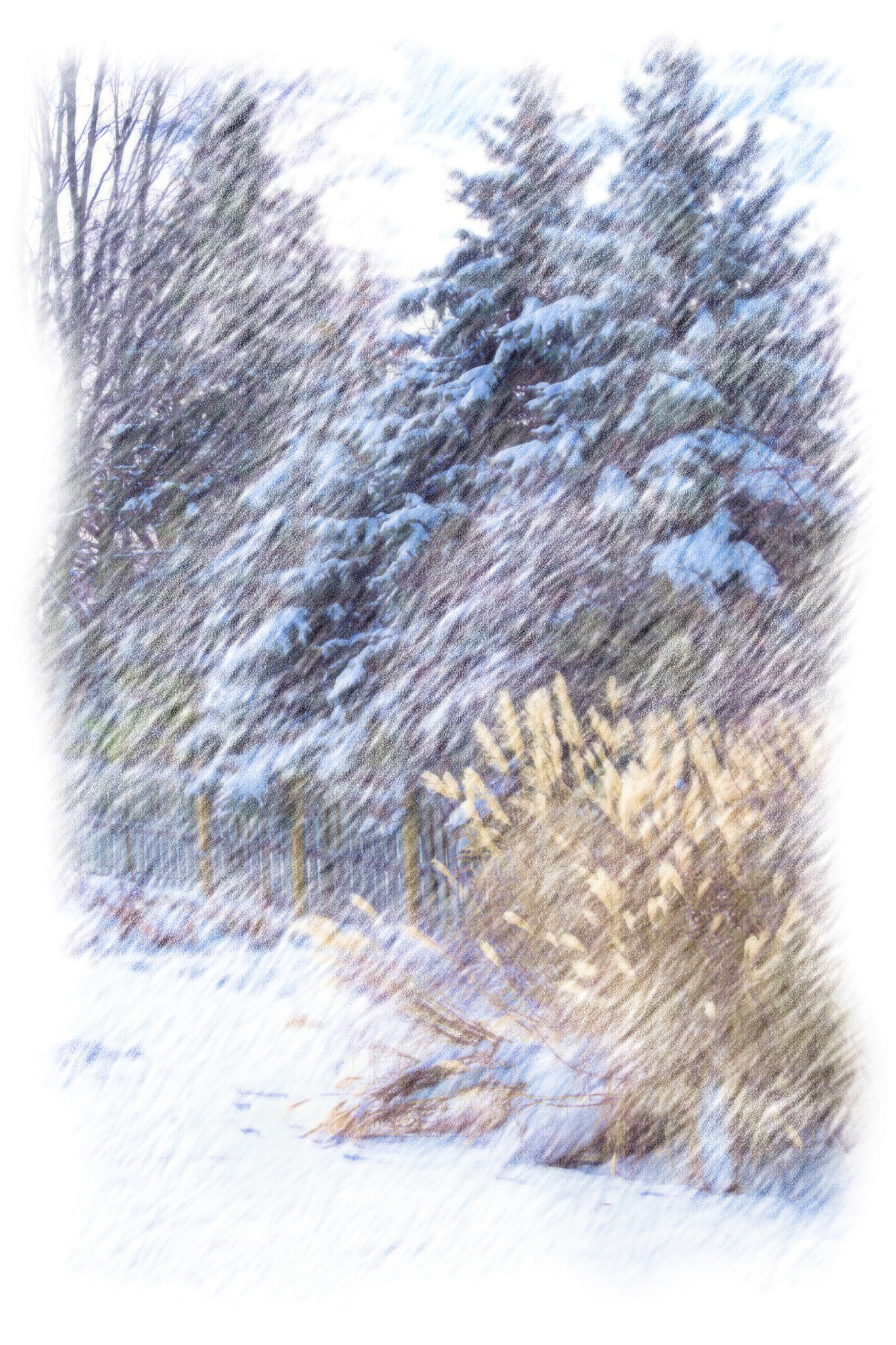 Paintings__FXT2515_ColPencil