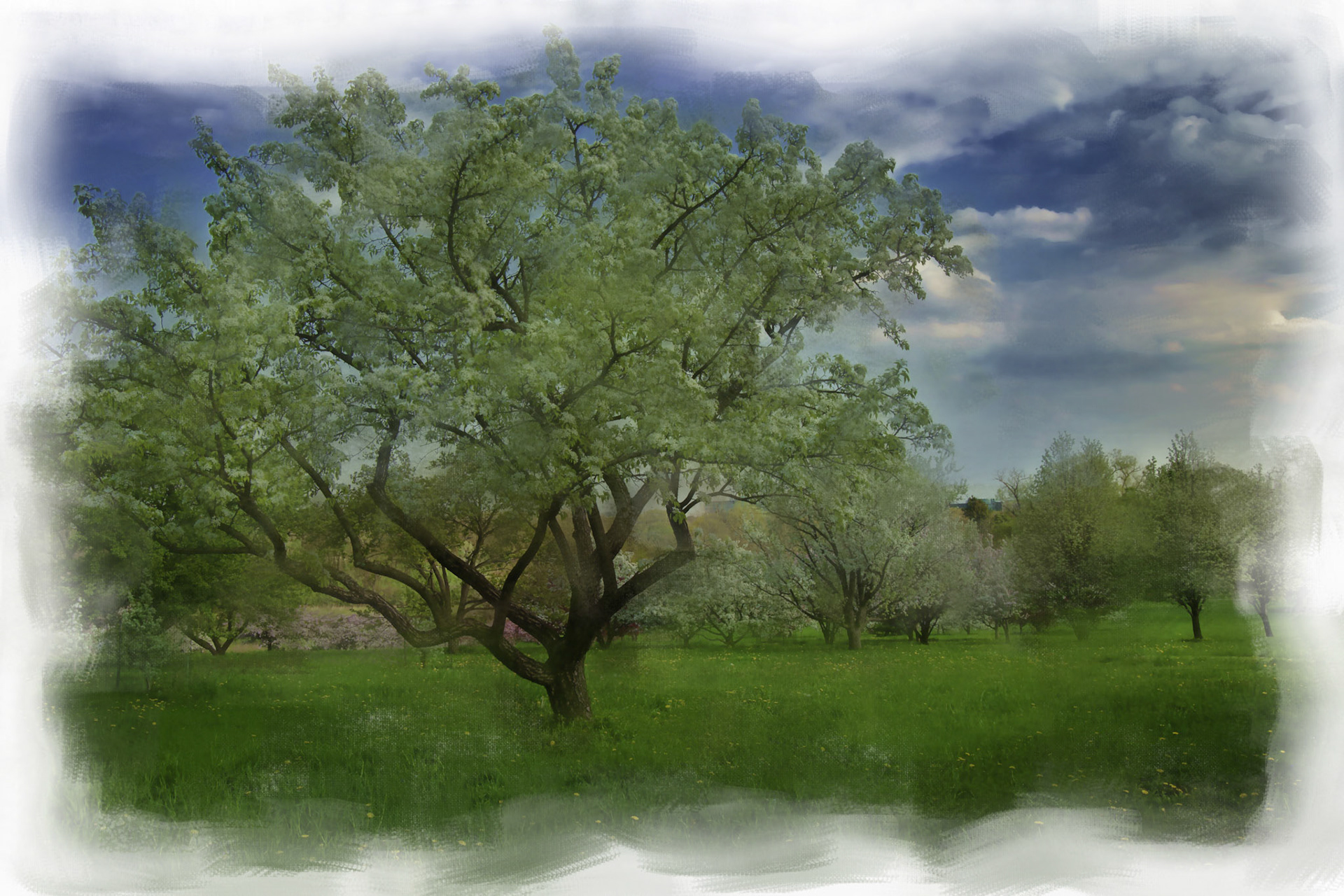 Painting__DSC2659ENF_NIKCEP4DetPaintingv2