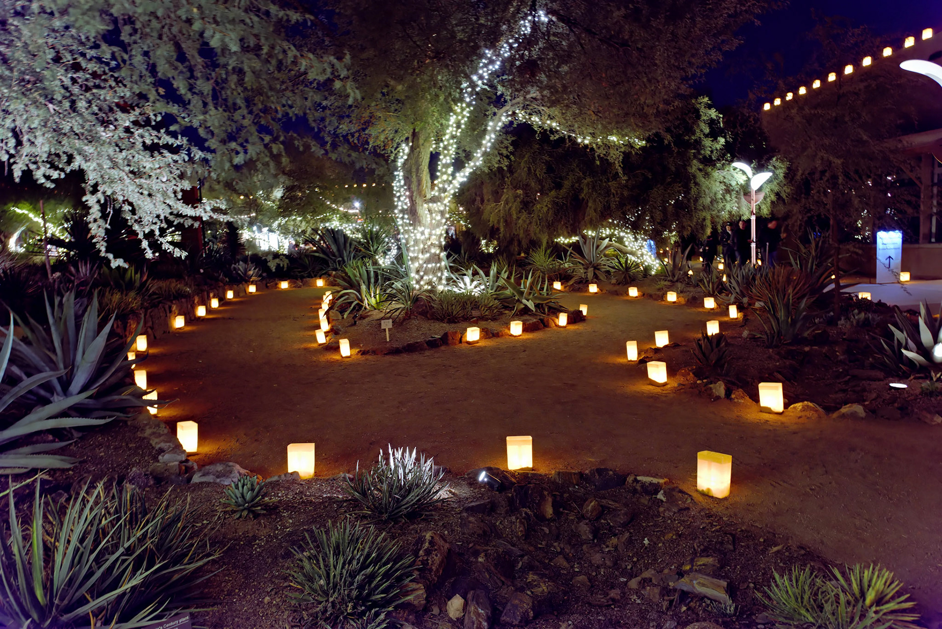 AZ_20121209_0280_PS.dng