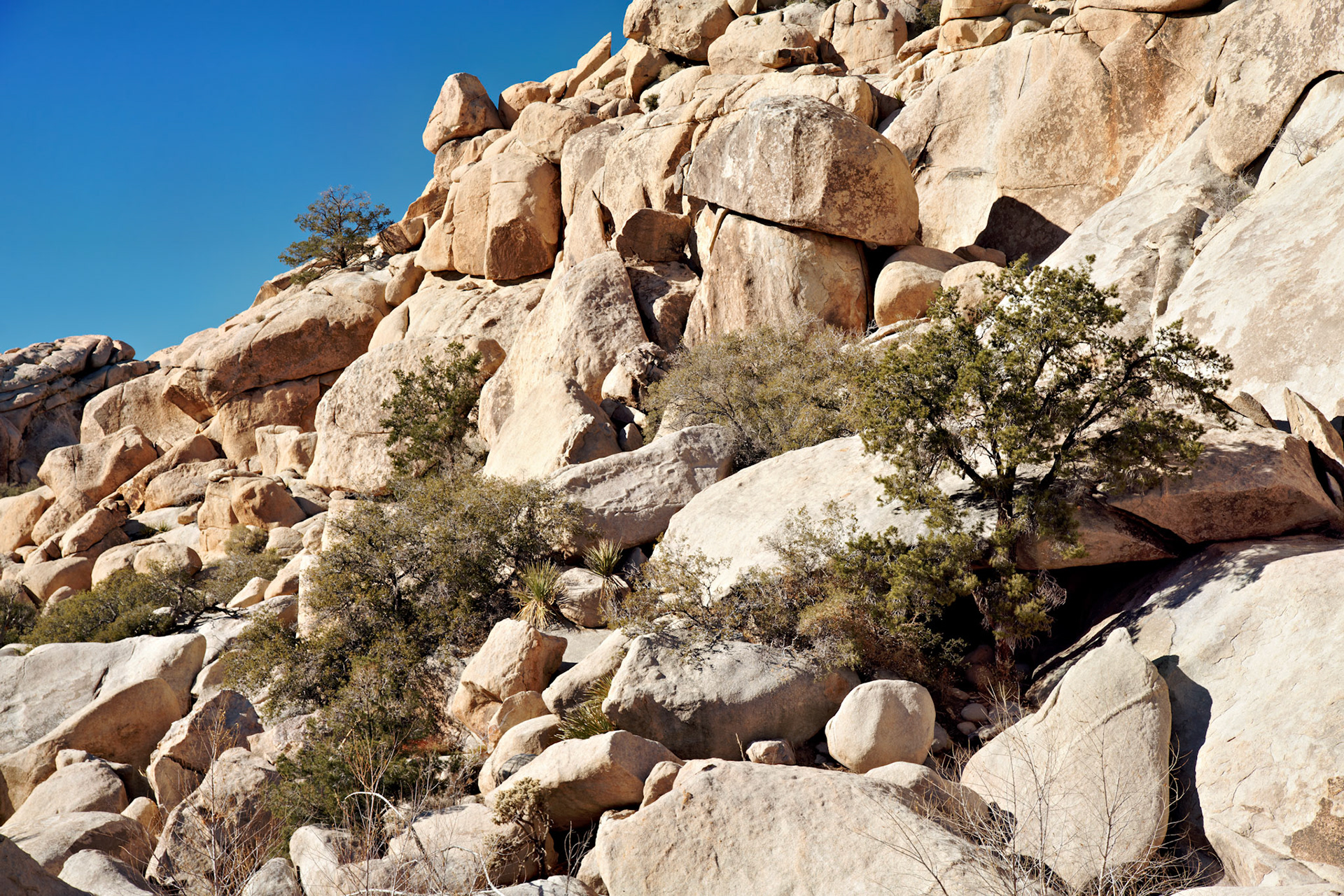 CA_PalmSprings_20090115_0240_PS