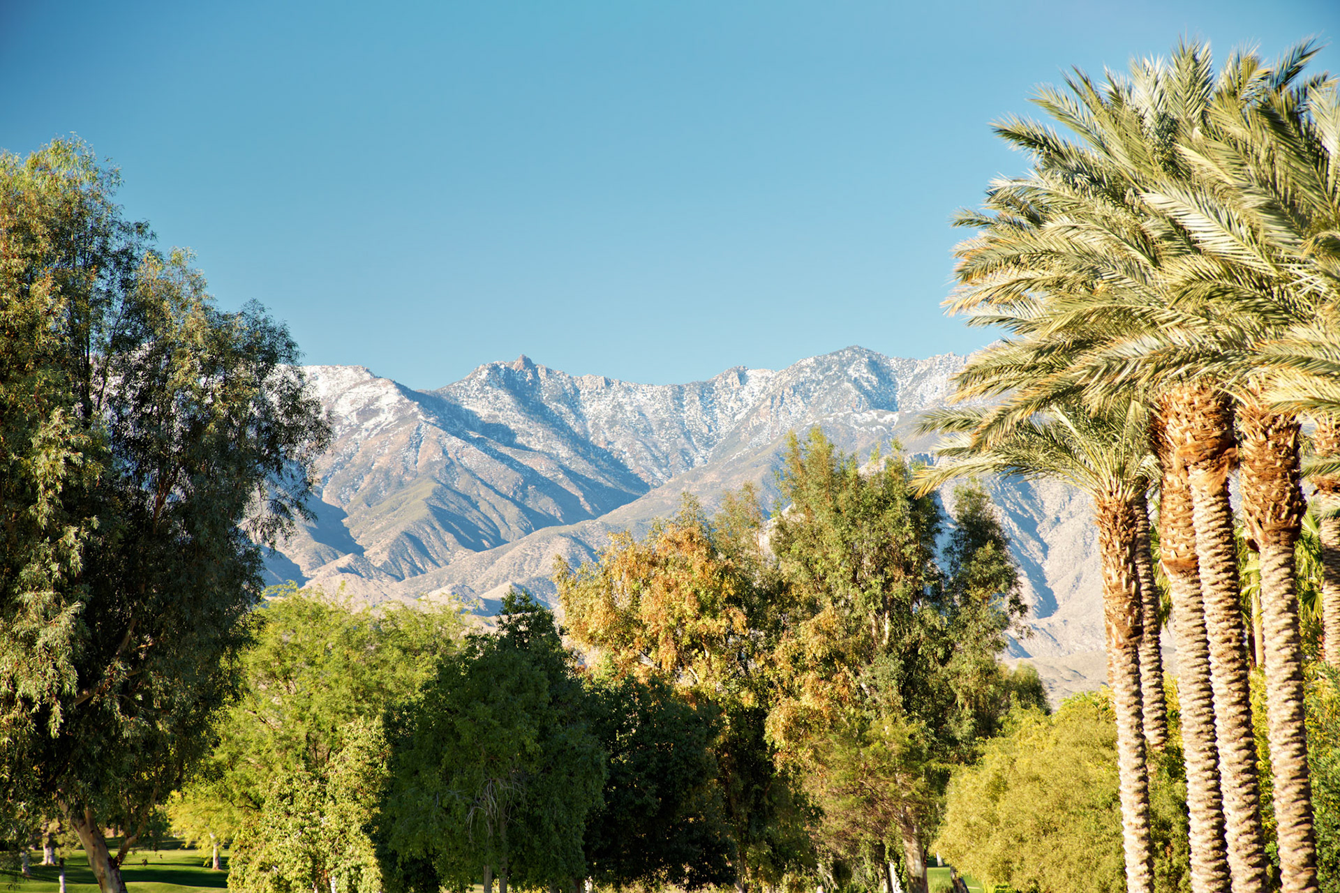 CA_PalmSprings_20090116_0302_PS