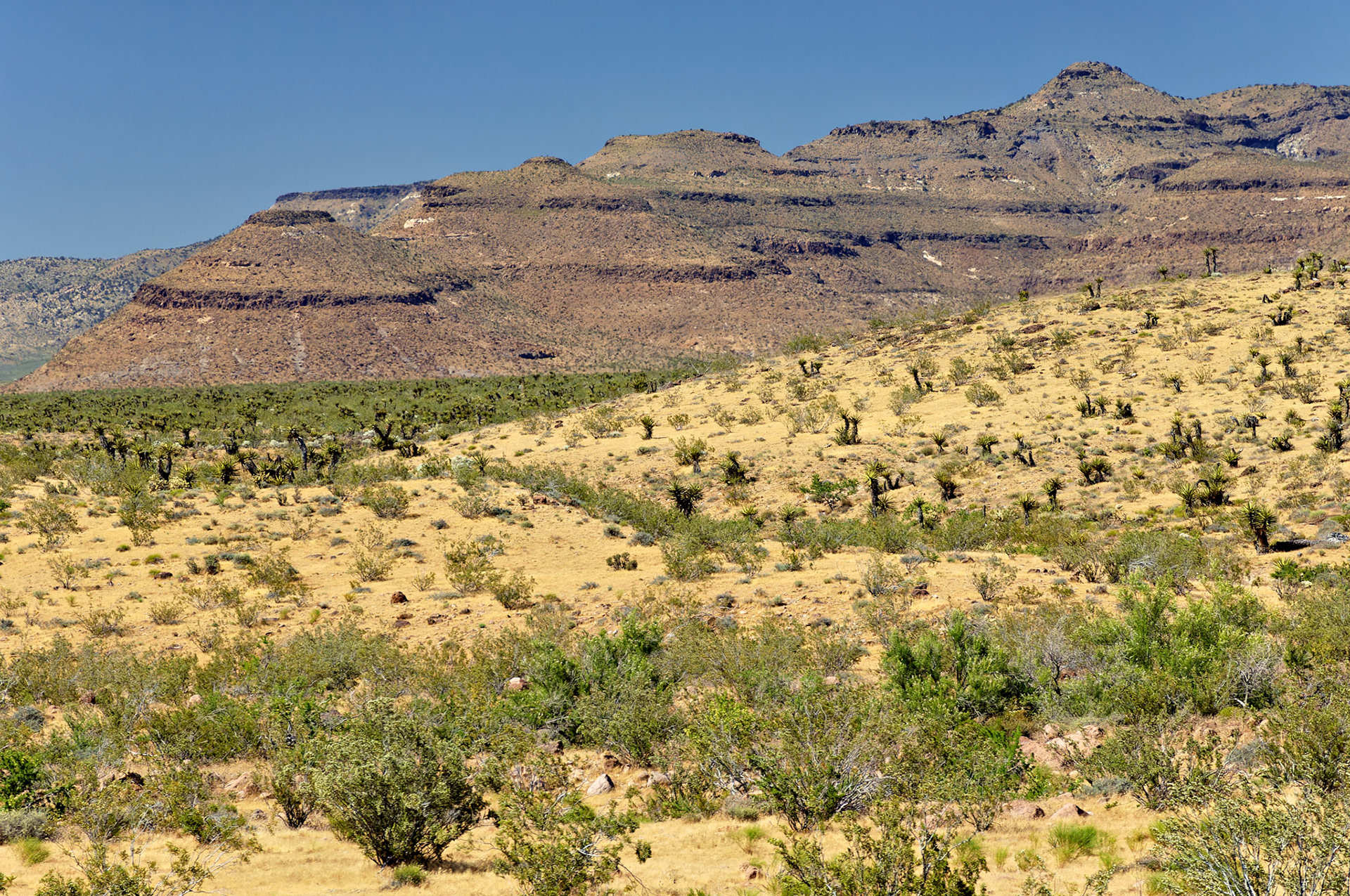 CA_20050614_0158_PS