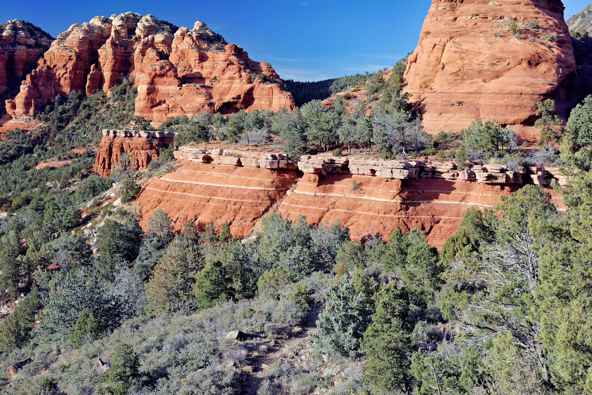 AZ_20121211_0571_PS