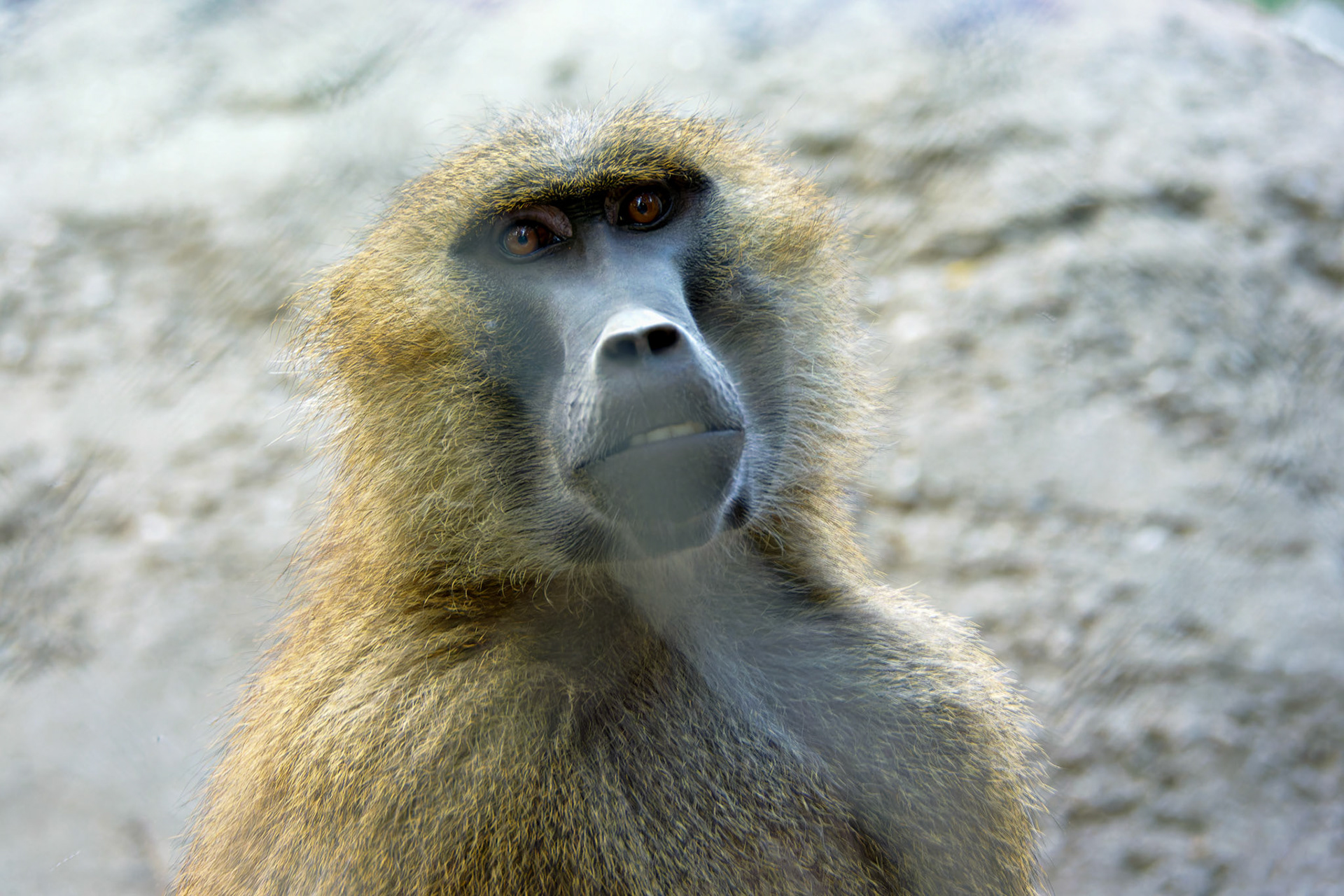 Wildlife_20140718_0507_PS