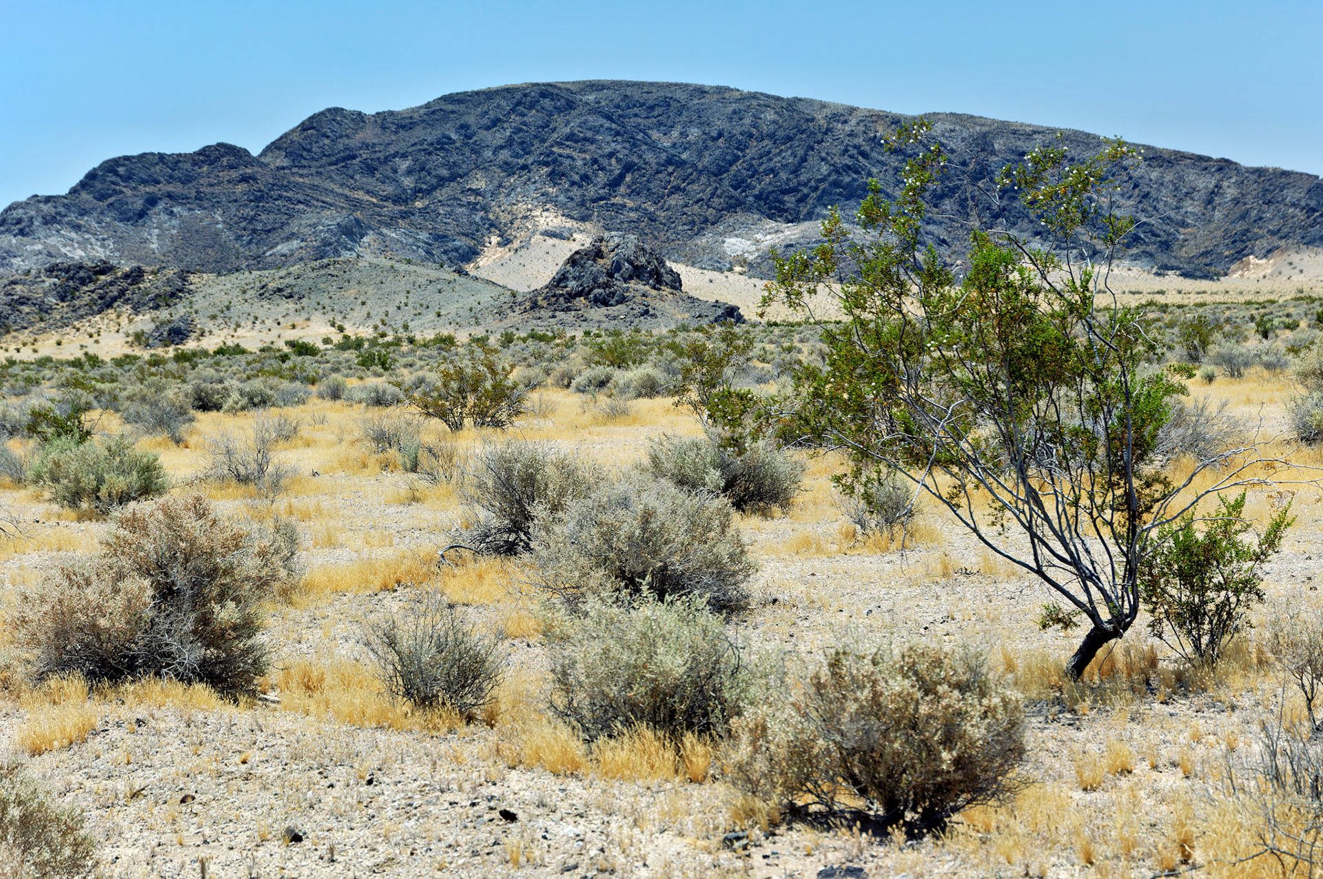 CA_20050614_0066_PS