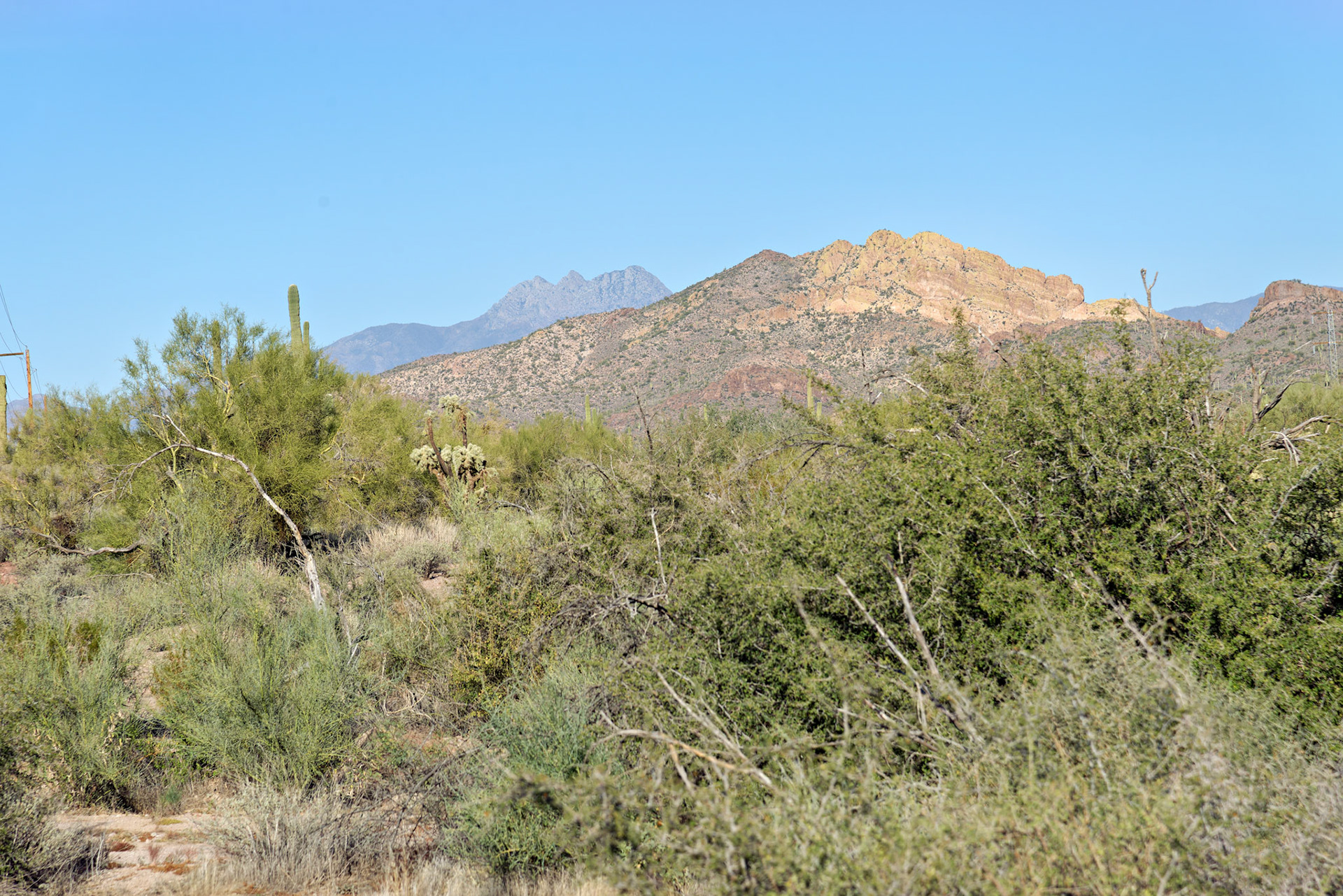 AZ_20121209_0341_PS