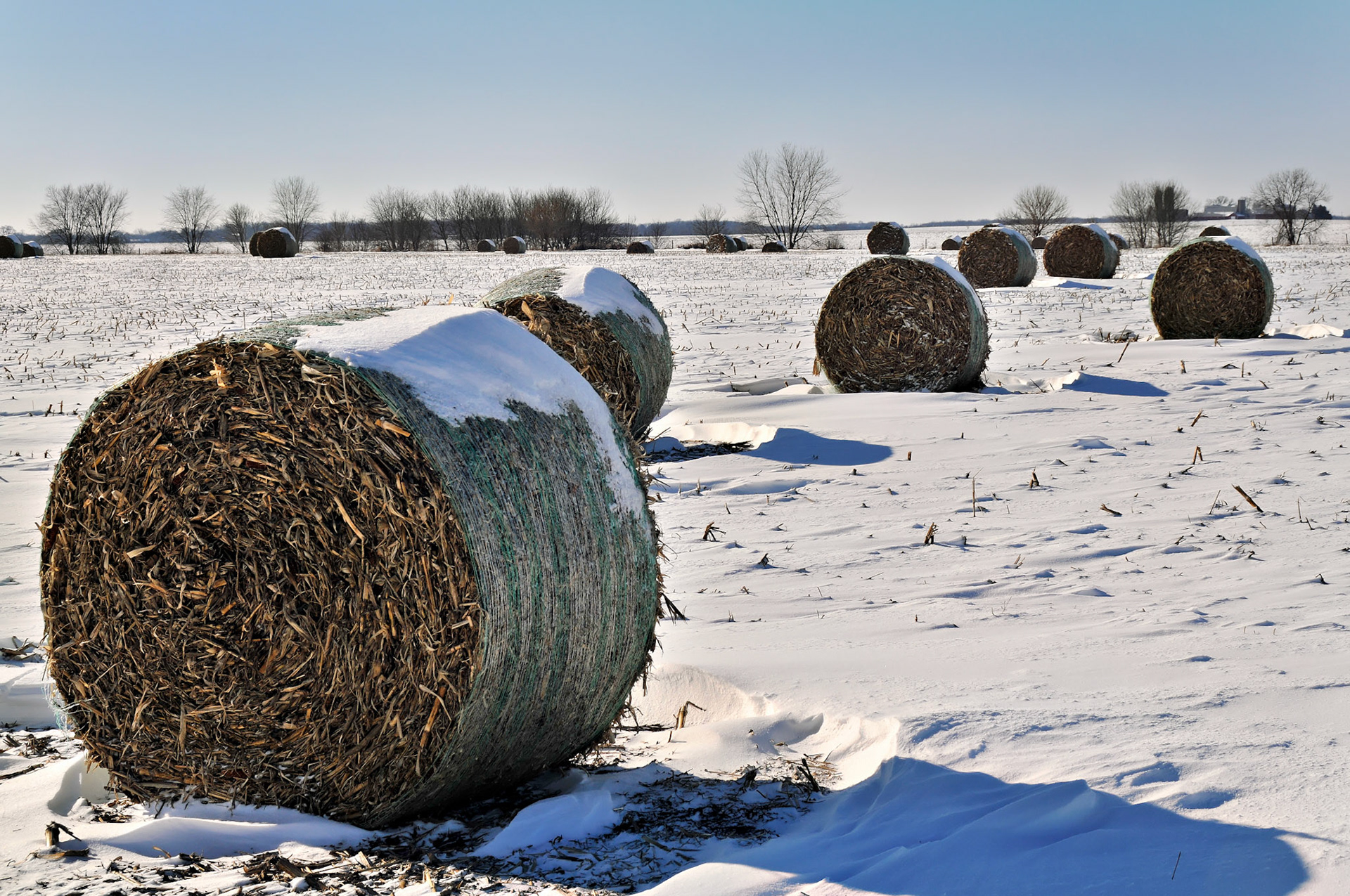 IL_20080122_0245_PS.tif