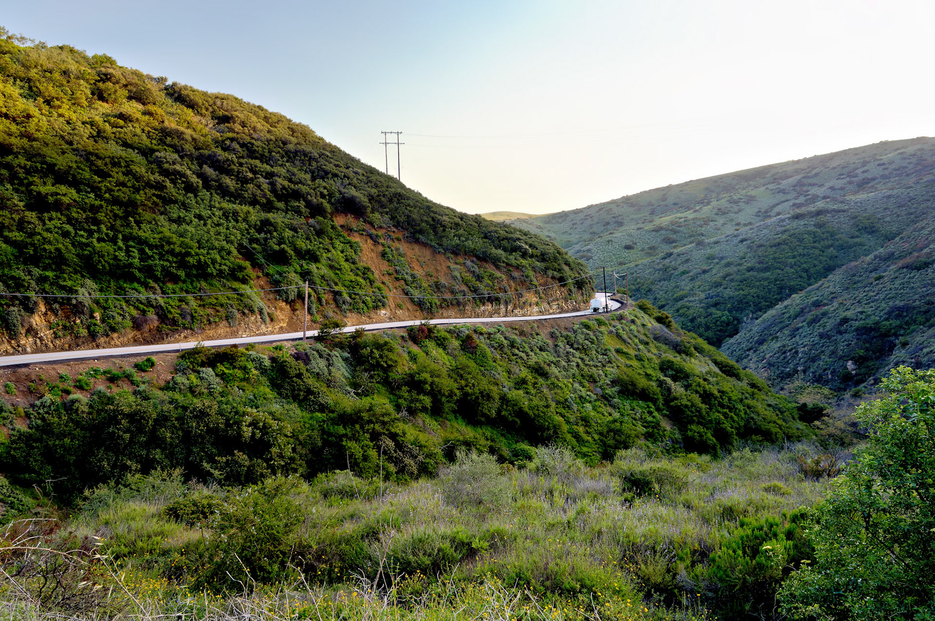 CA_LA_20060504_0345_PS.dng