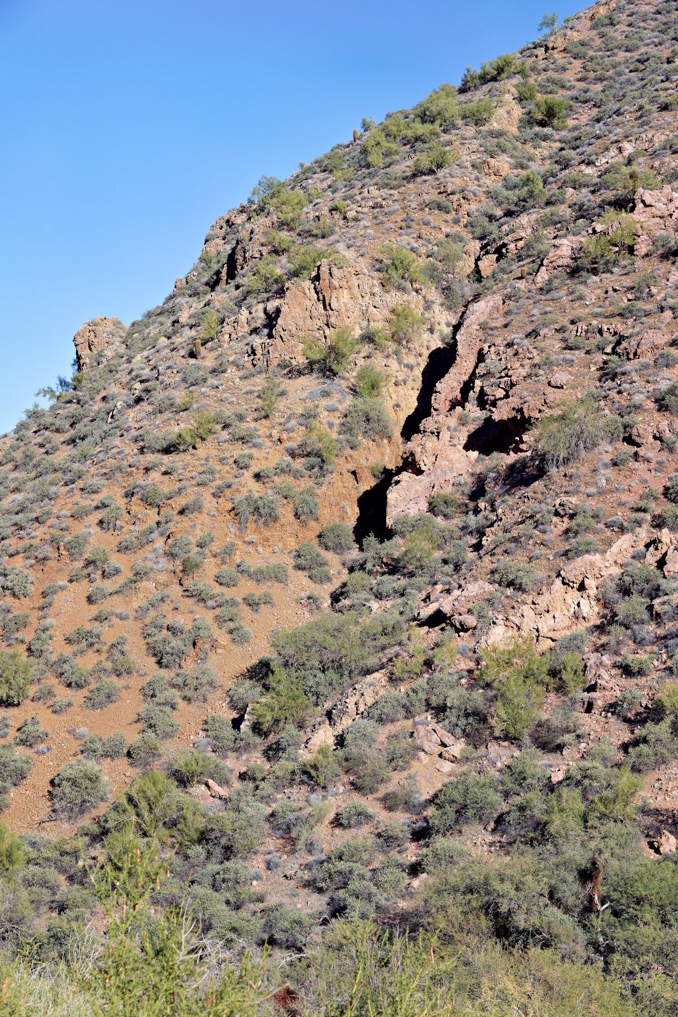 AZ_20121210_0397_PS