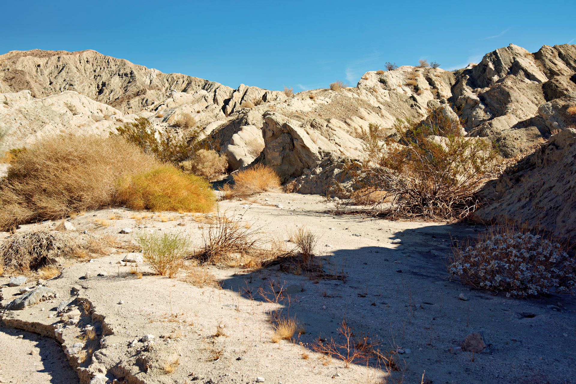 CA_PalmSprings_20111117_0529_PS
